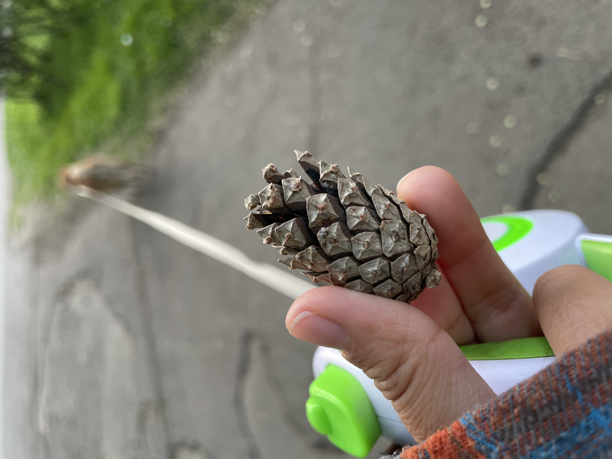 Casual moments captured during afternoon walk in Zheleznogorsk, Russia