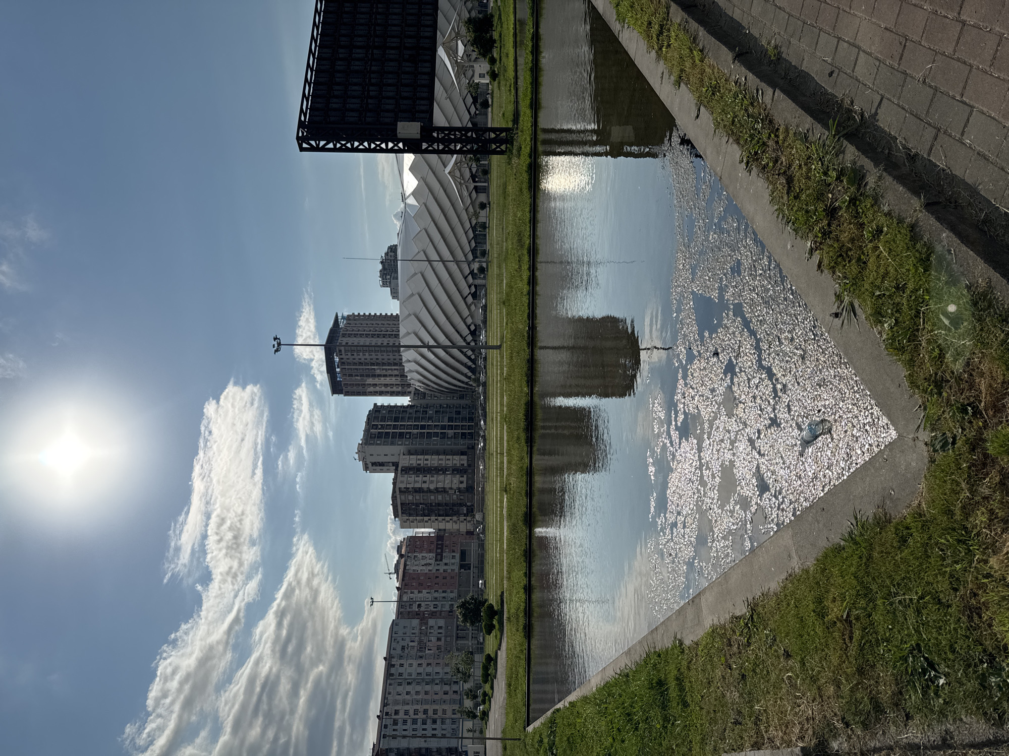 Batumi's modern waterfront promenade on a bright summer day