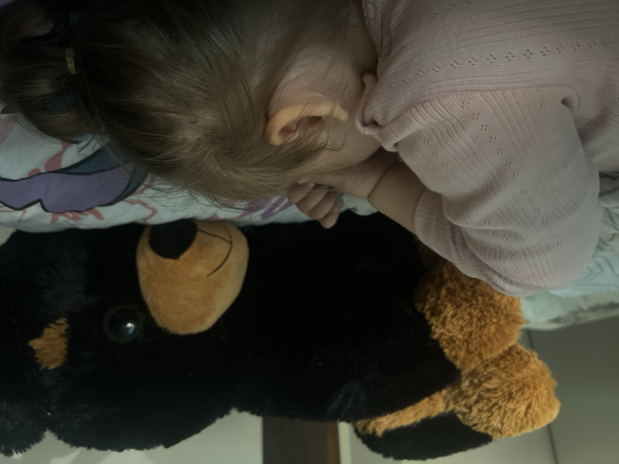 Child sleeps peacefully with stuffed animal in Mezdra, Bulgaria