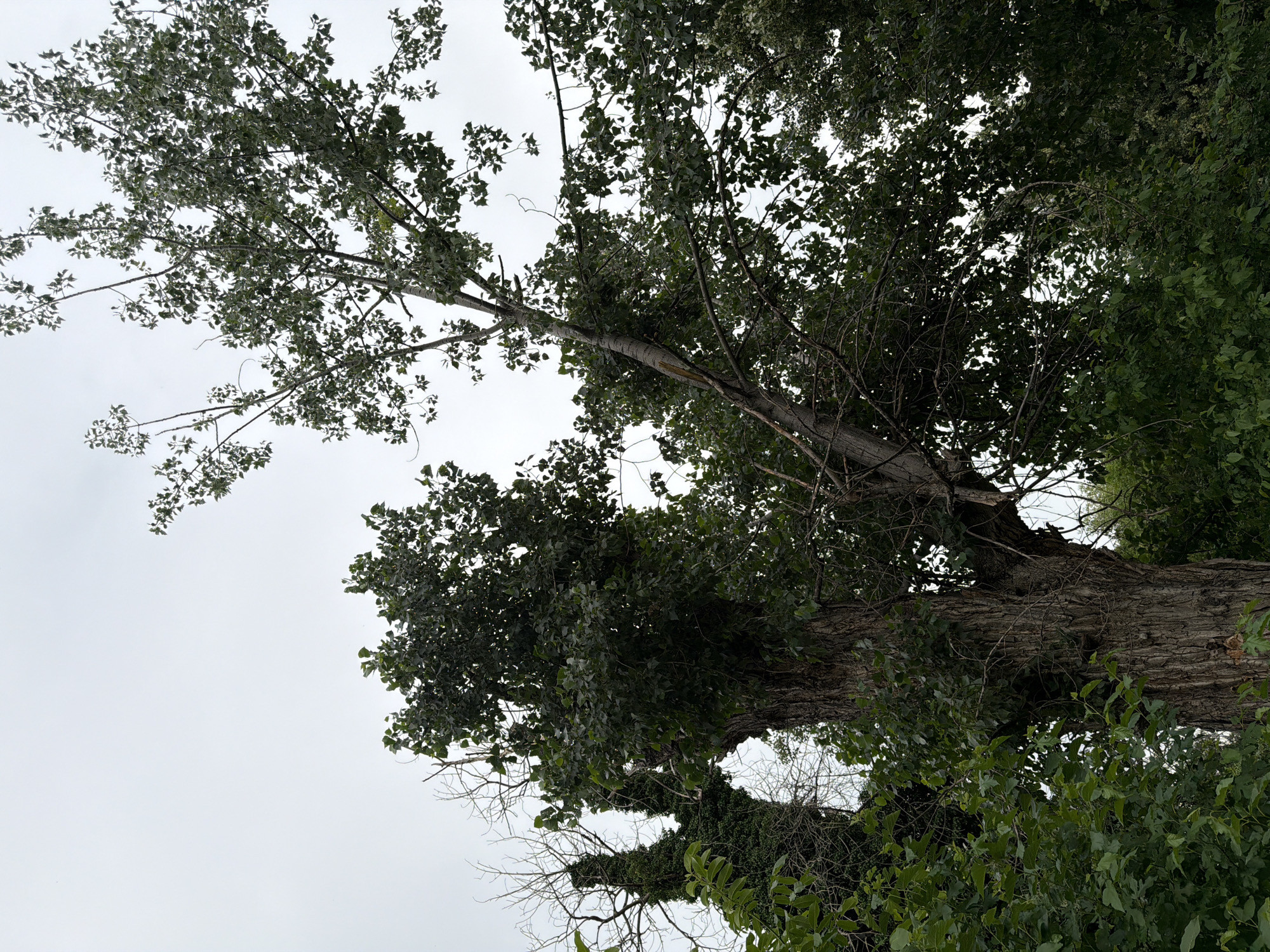 Afternoon stroll documented through parks and streets in Pazardzhik