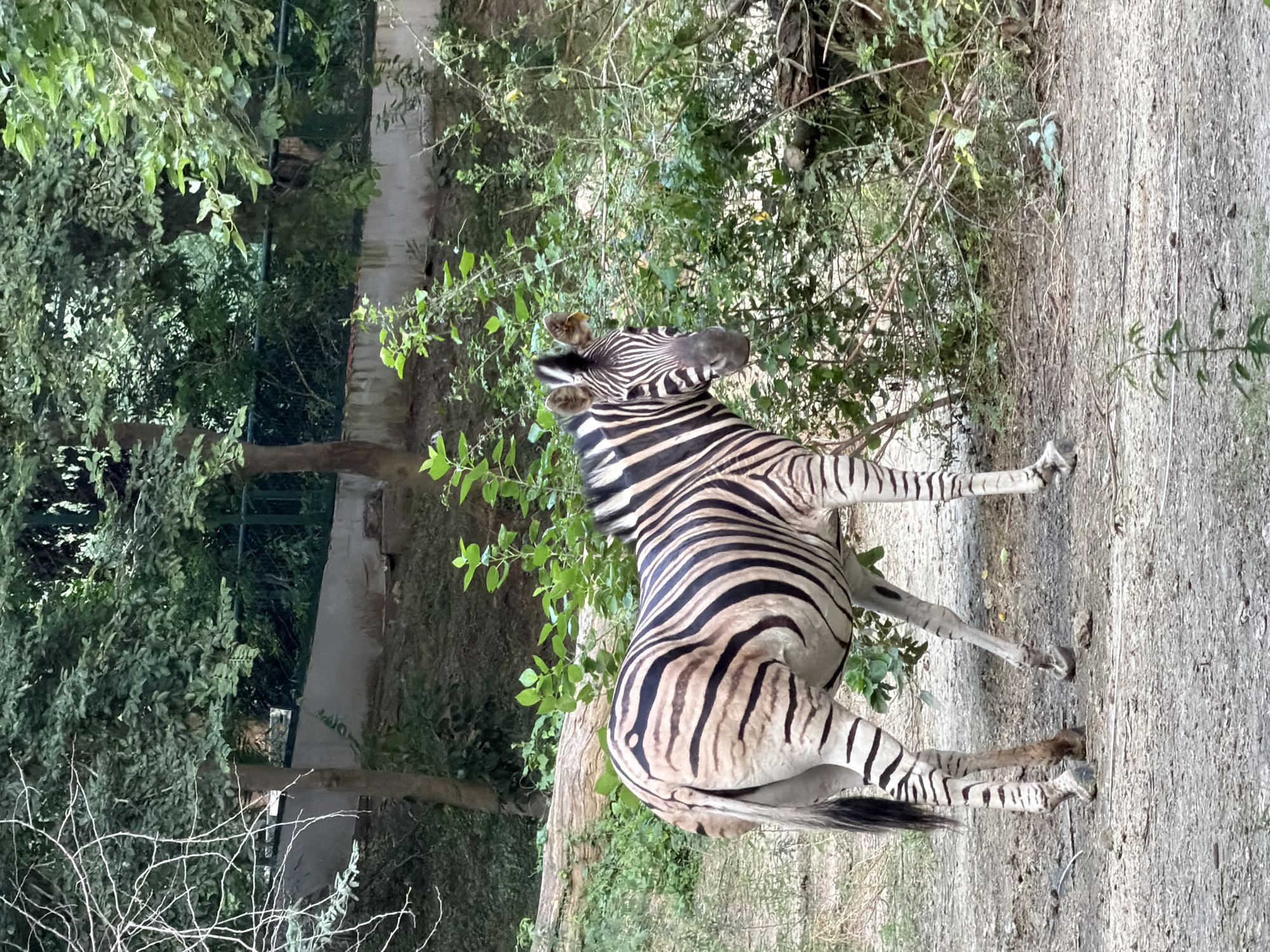 Kanpur, India