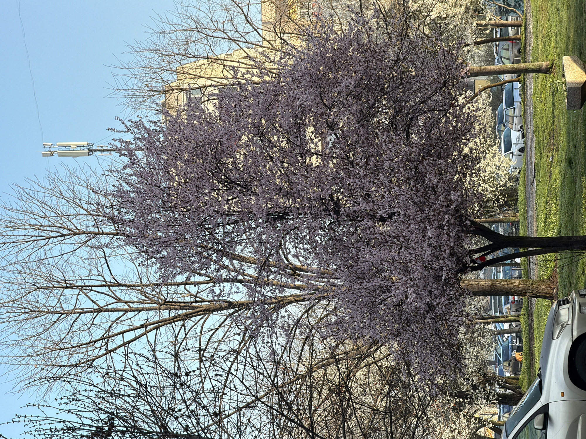 Early morning street scenes captured in Sofia, Bulgaria