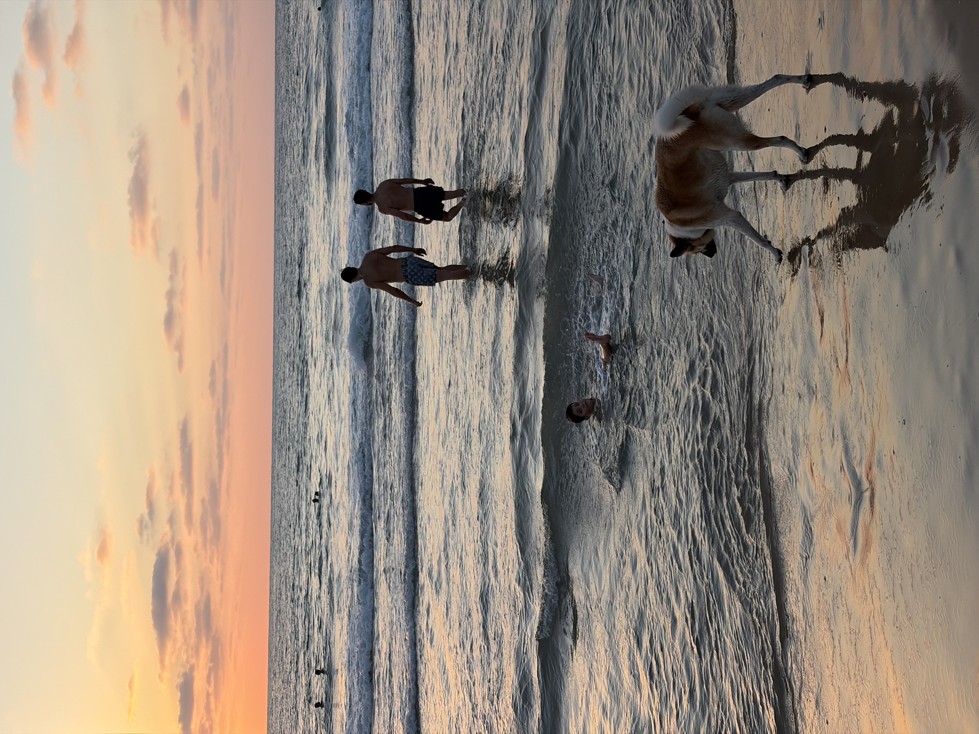 Sunset swim at Gordon Beach, Tel Aviv
