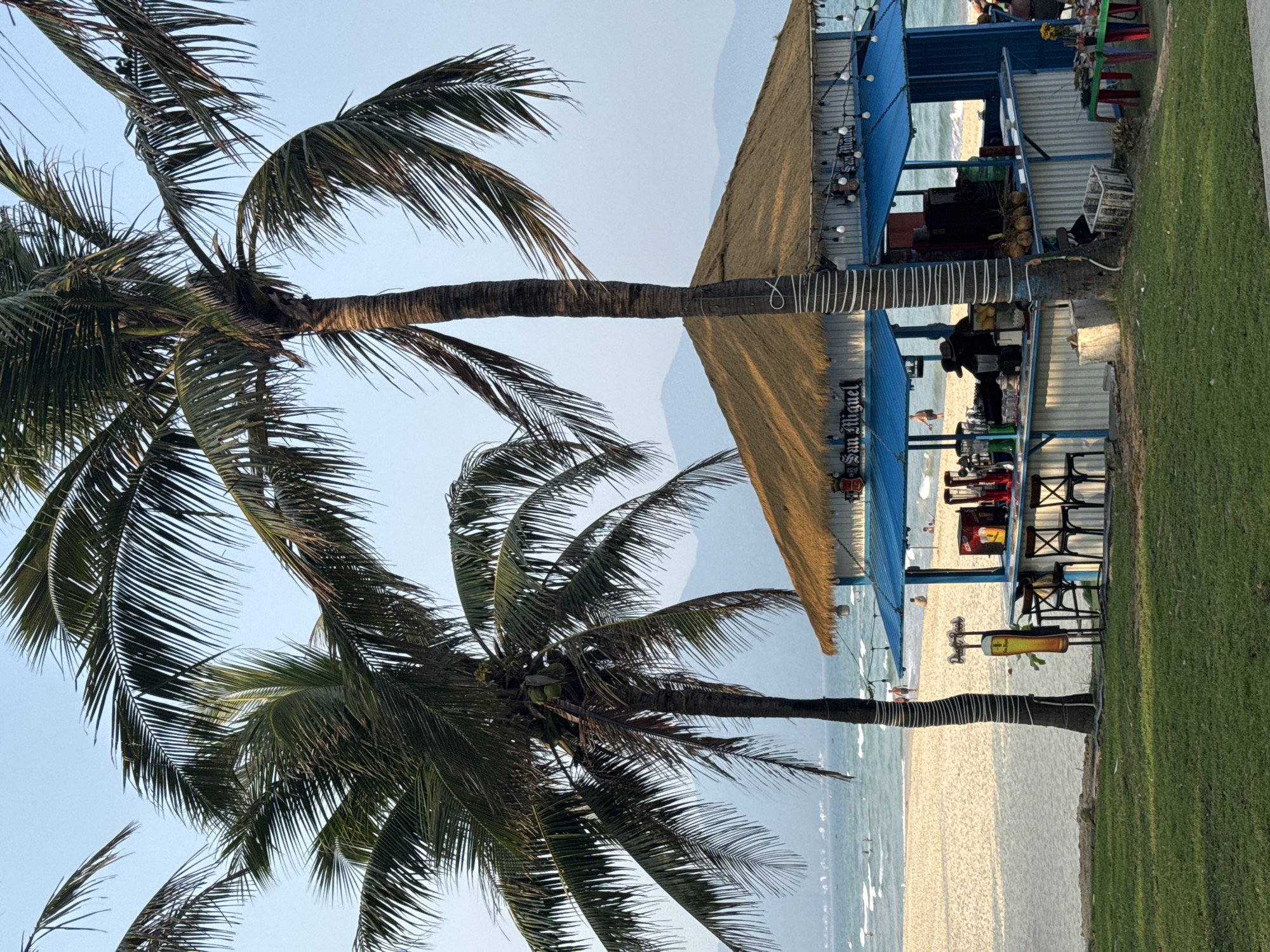 Morning beach moments captured in Đà Nẵng, Vietnam