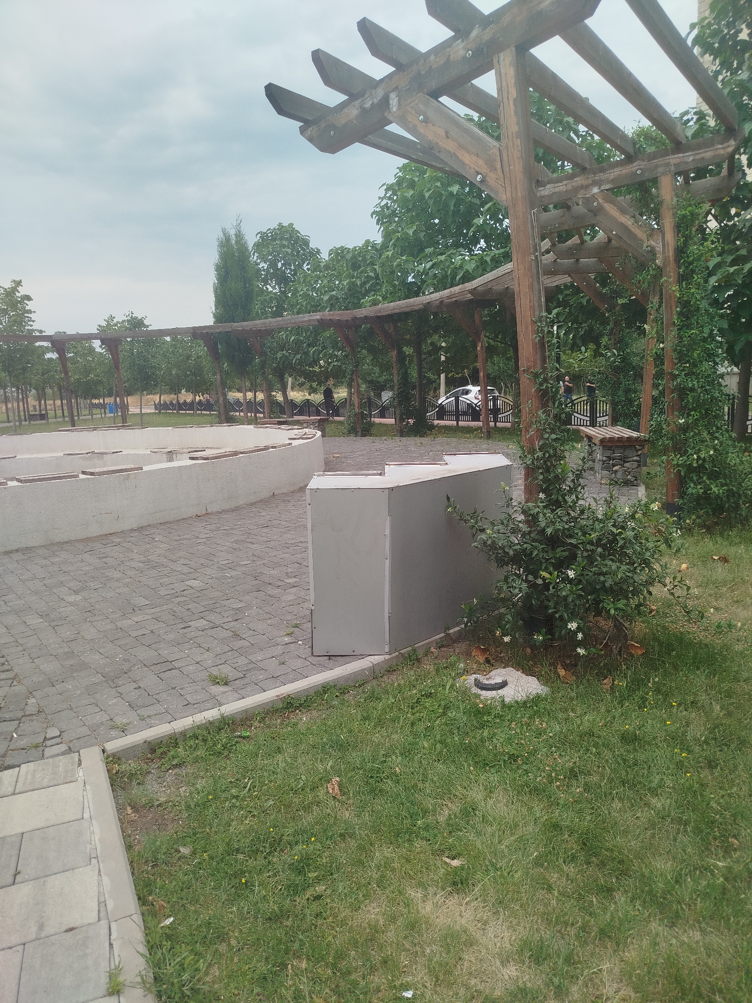 Lazy afternoon in a Rustavi park, nectarines and all