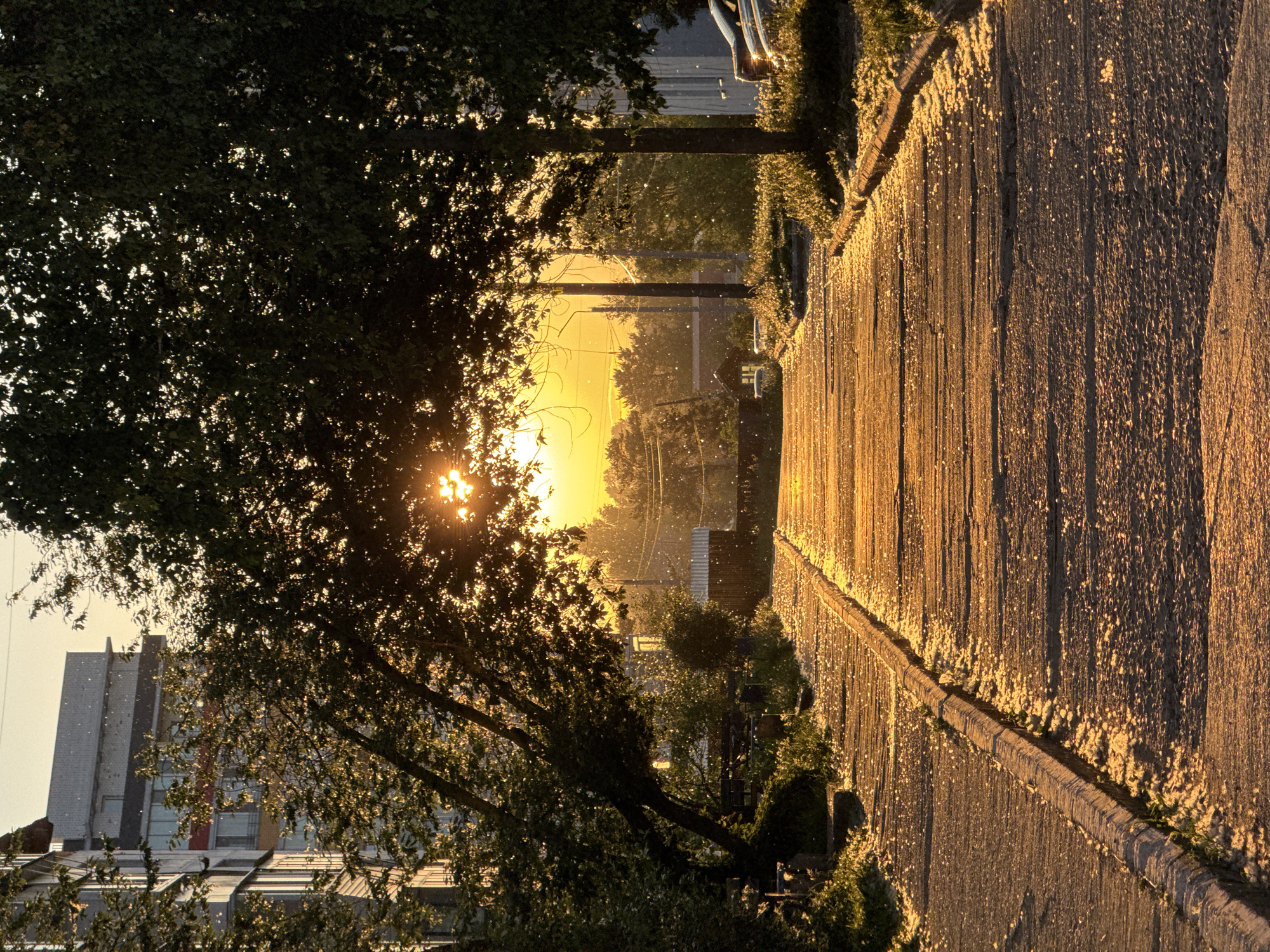 Golden Hour Moments Captured Across Chaikovsky, Russia