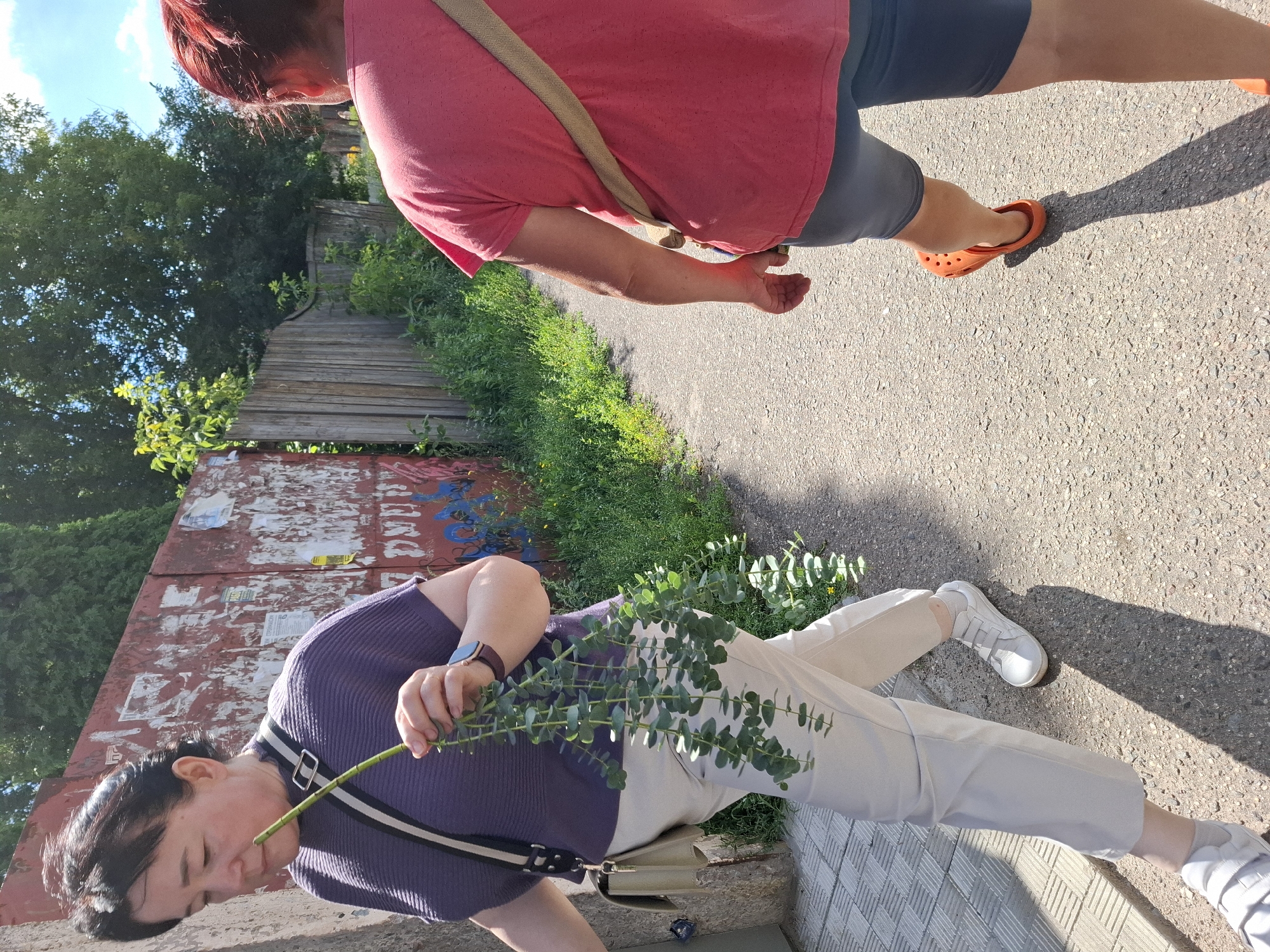 Morning errands and garden walks with flowers and dogs