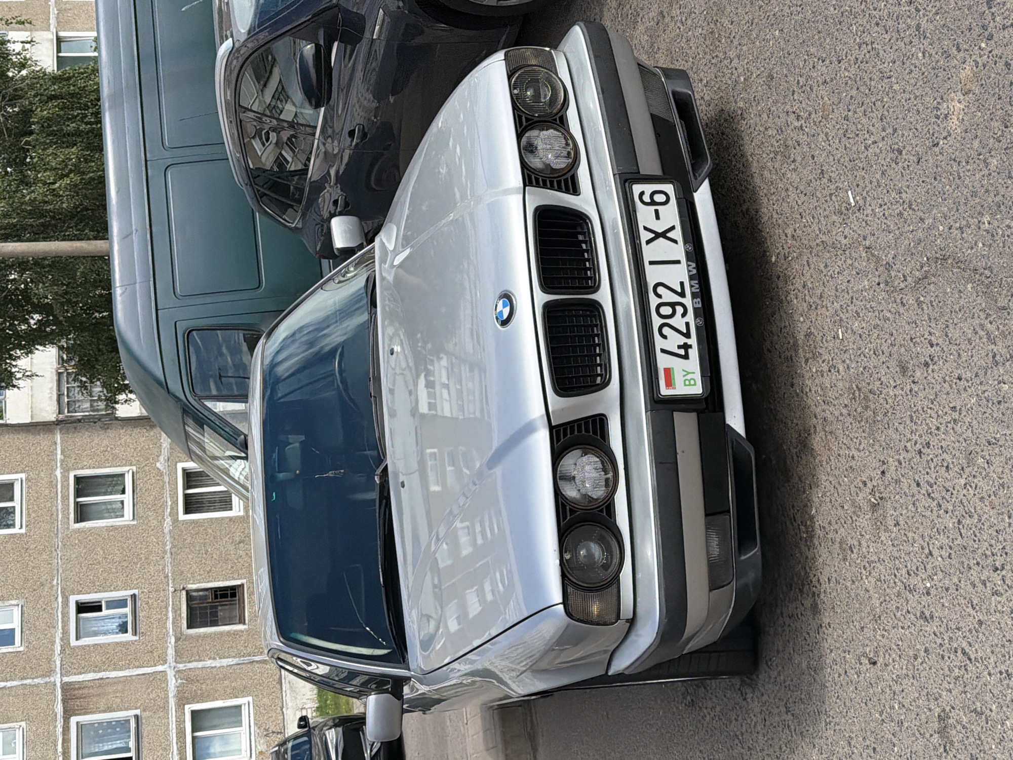 Quiet Mahilyow morning: parked BMW, garden blooms, and street pigeons