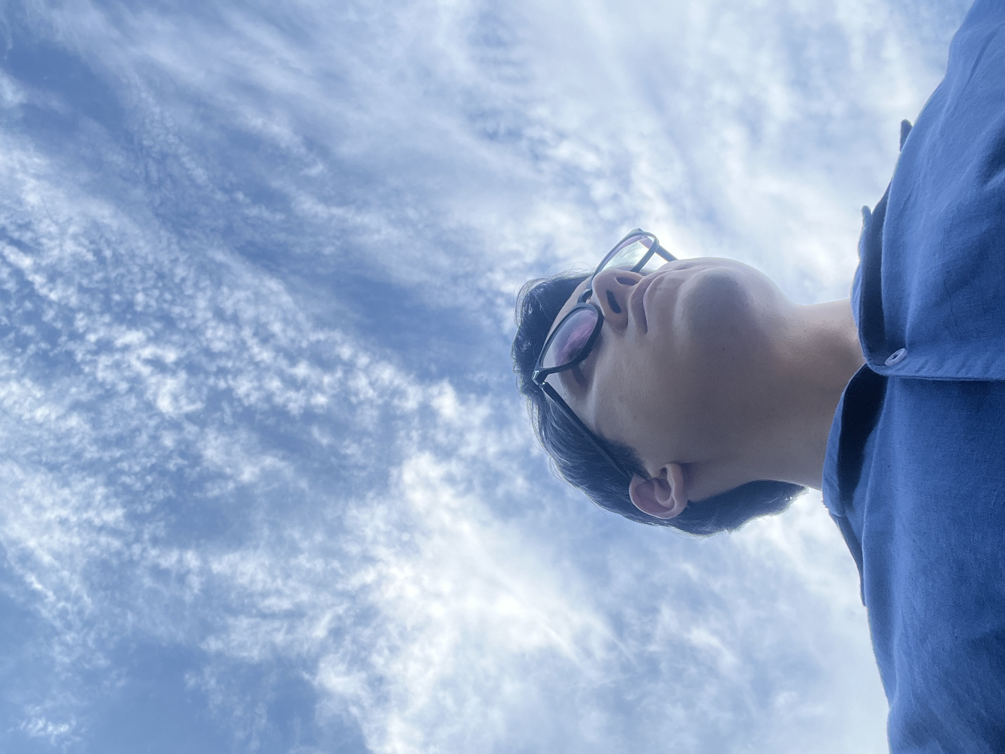 Looking up at sky and trees on a Tashkent afternoon