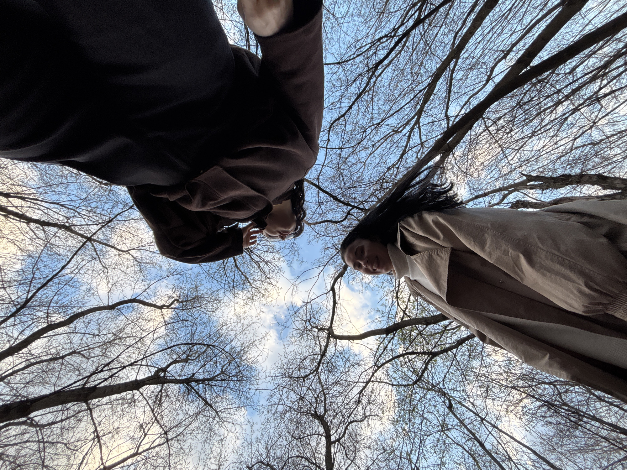 Spring walk documented through bare forests in Perm, Russia