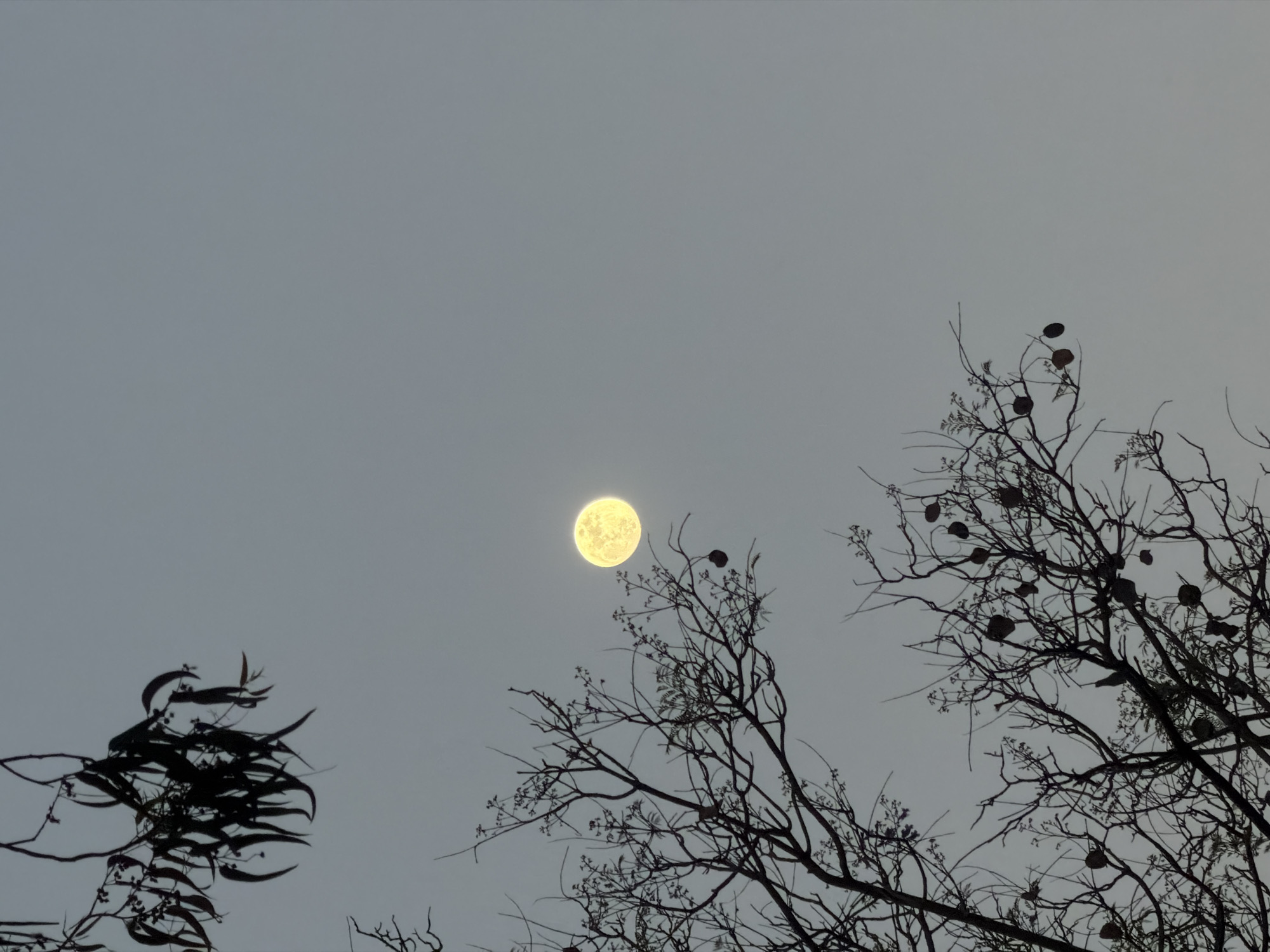 Full moon observed over Al Jizah, Jordan