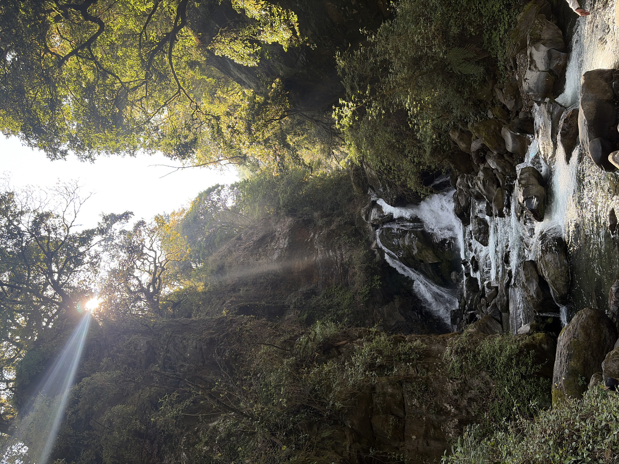 Morning scenes captured in Dhunche Nepal waterfalls and wildlife