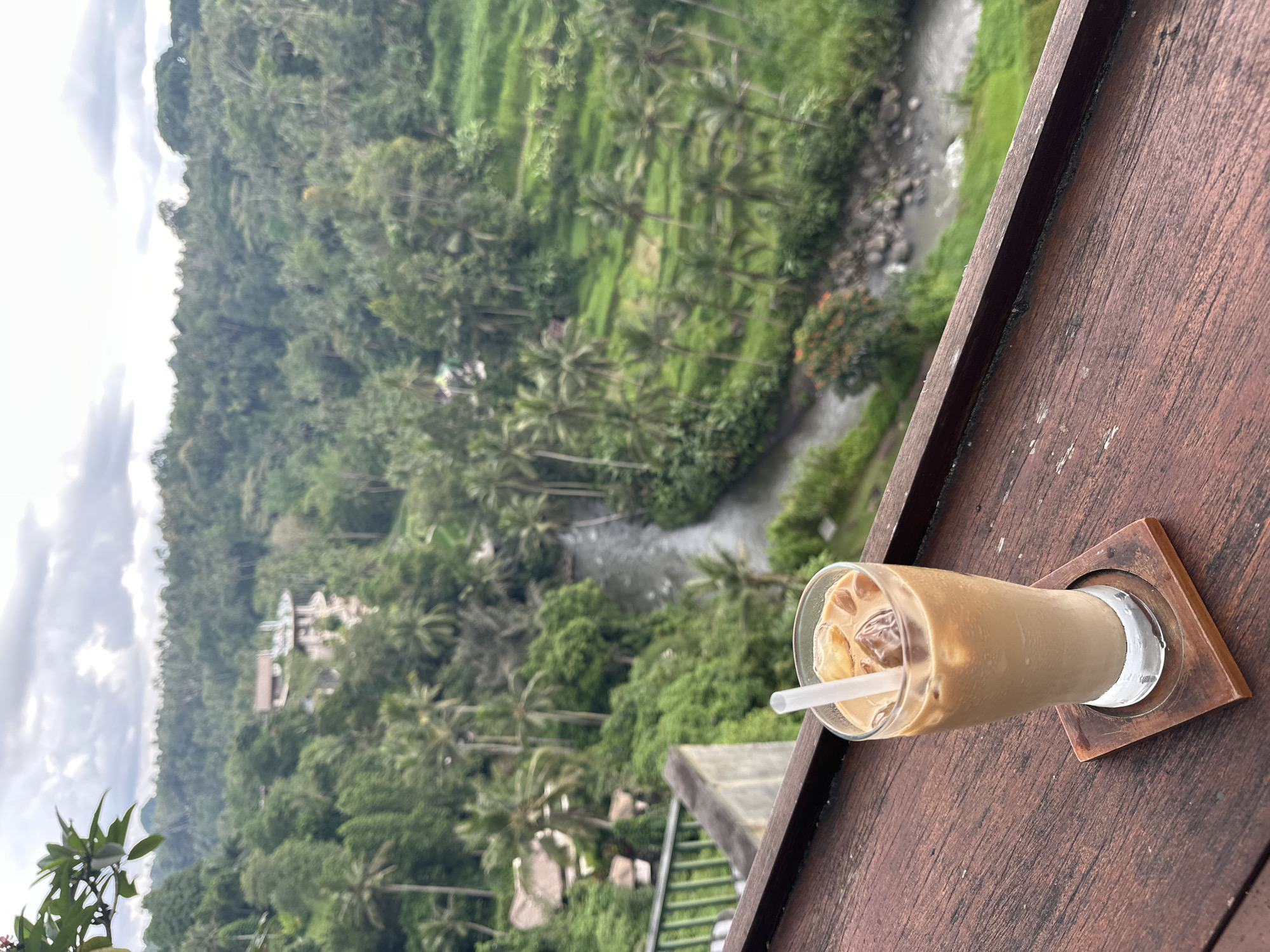 Morning coffee overlooking Ubud's terraced rice paddies captured