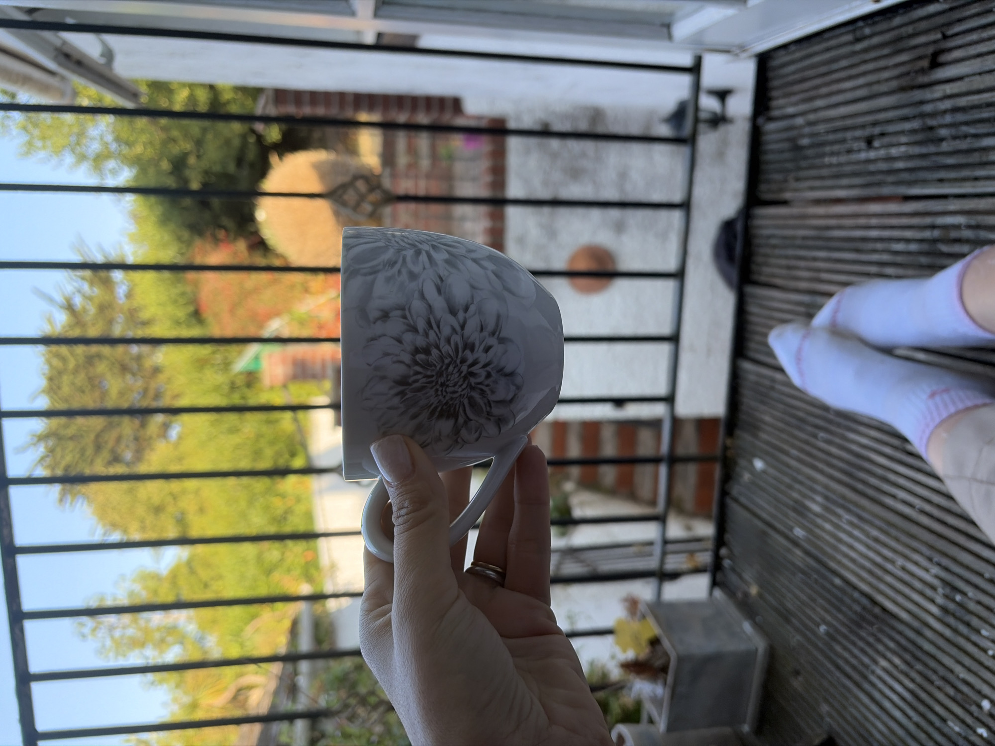 Slow morning around Torquay — balconies, birds, and backstreets