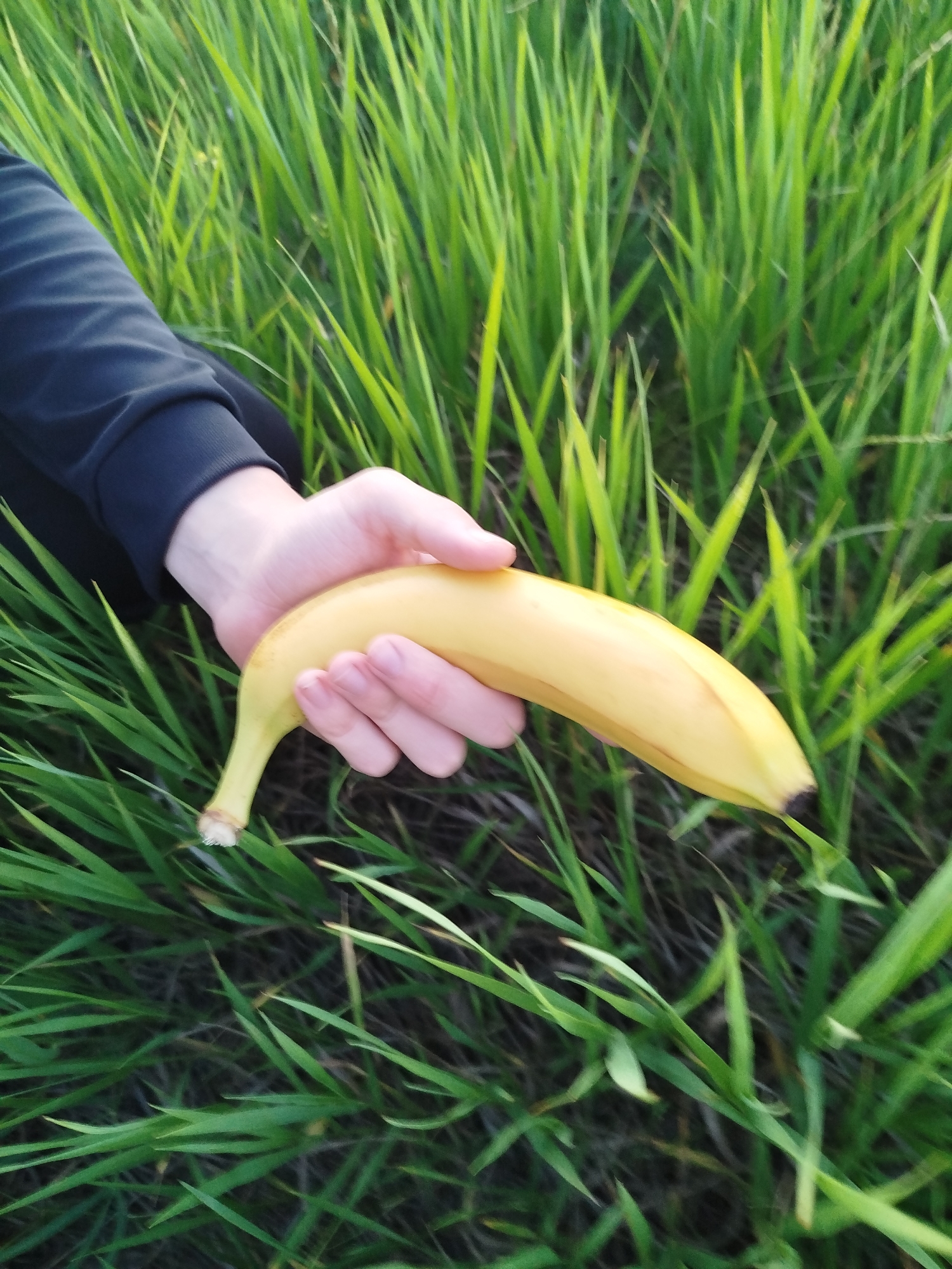 Fruit photography session documented in rural Ukraine twilight