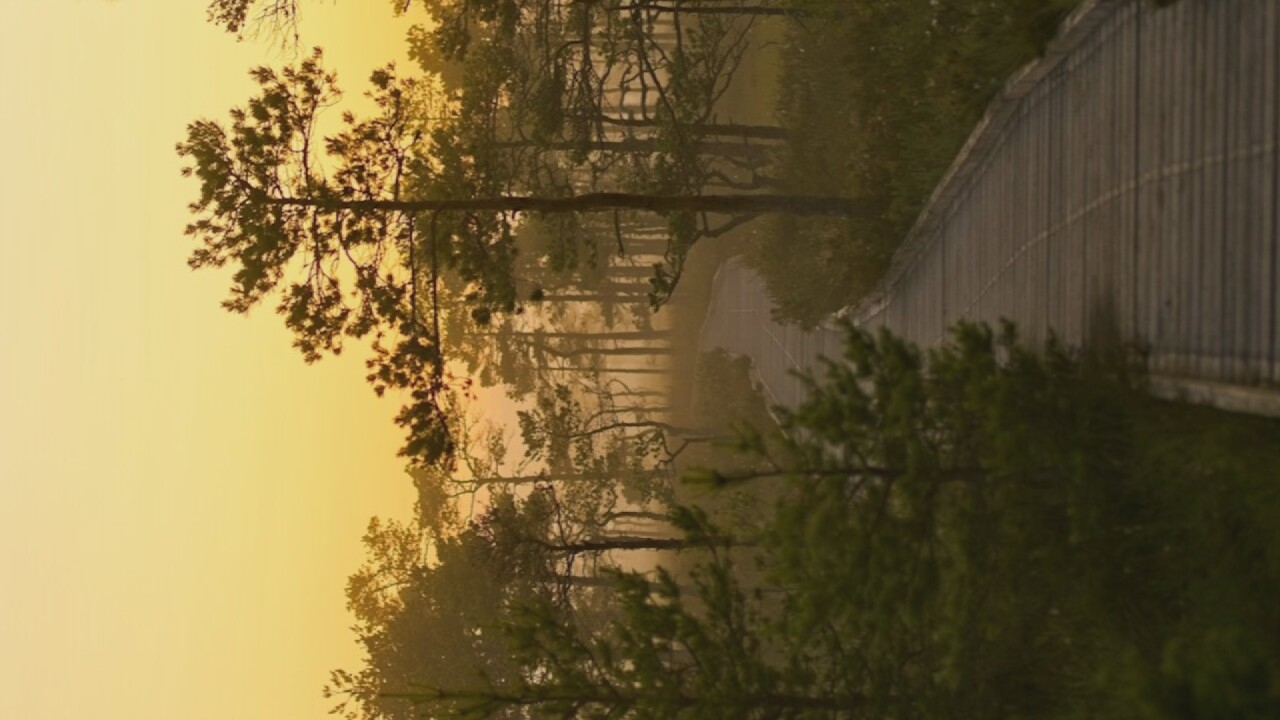 Scattered snapshots from a summer afternoon in Oreshki, Russia