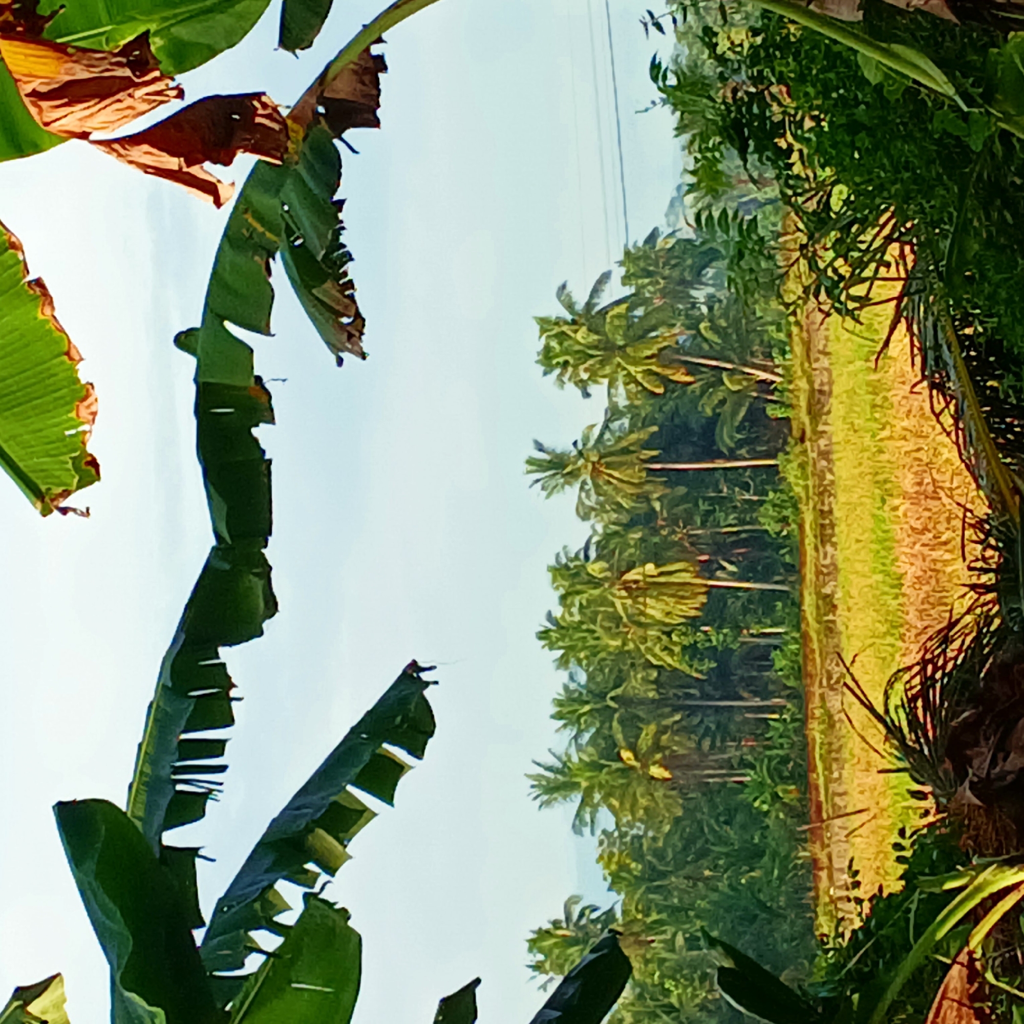 Rural tropical landscapes across two Indonesian villages at dawn