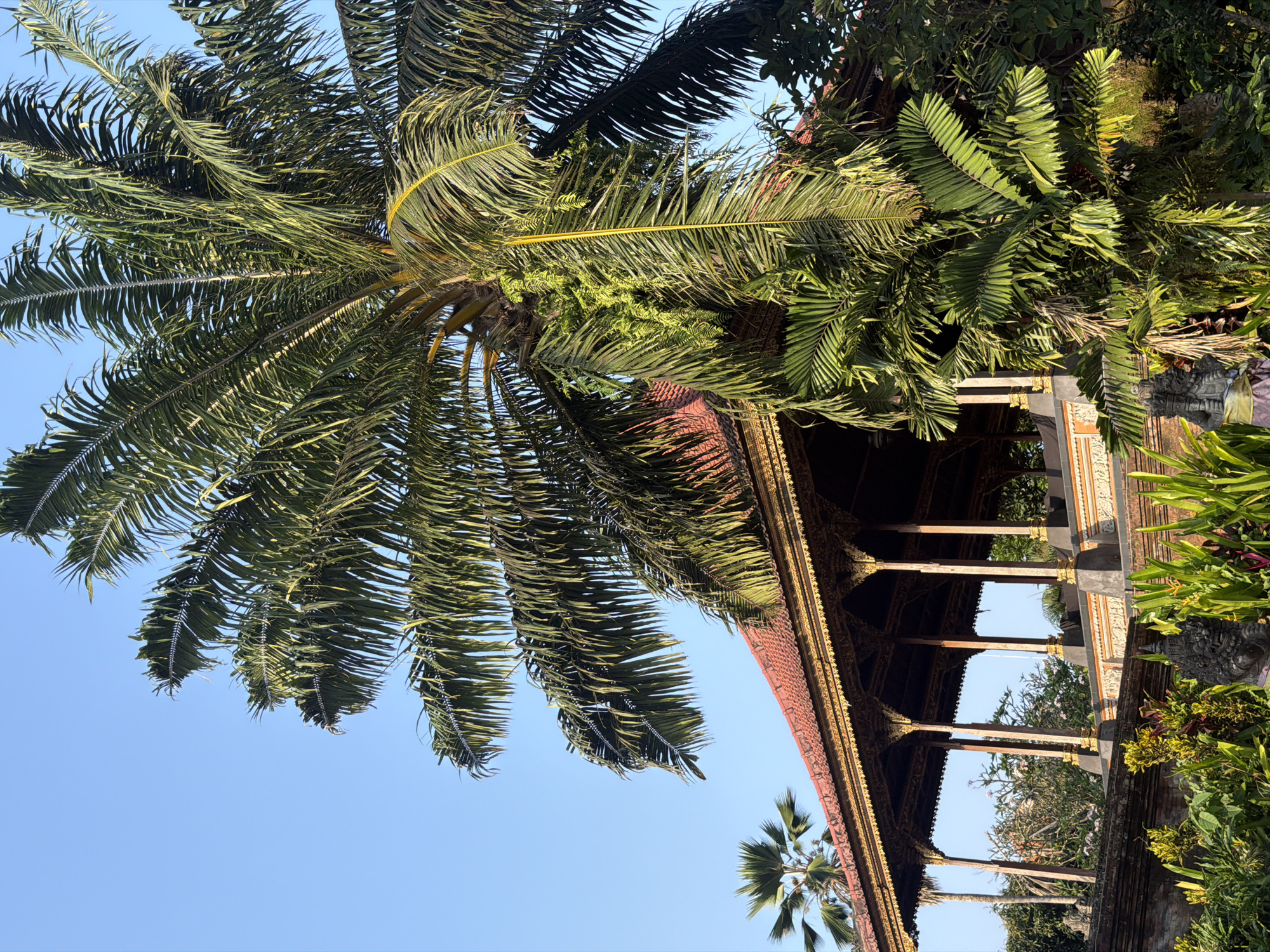 Sunday morning wandering through temples and streets in Ubud
