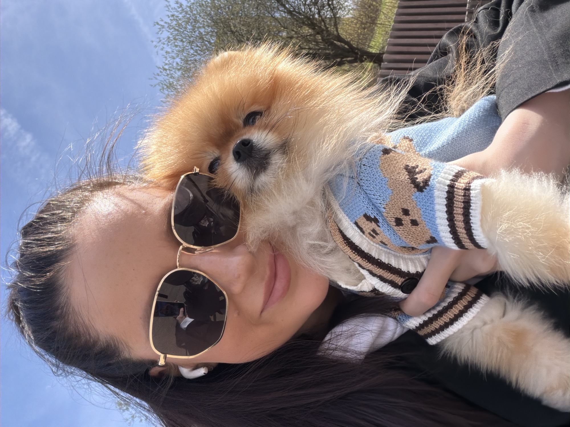 Woman walks Pomeranian through Khimki neighborhoods on sunny morning