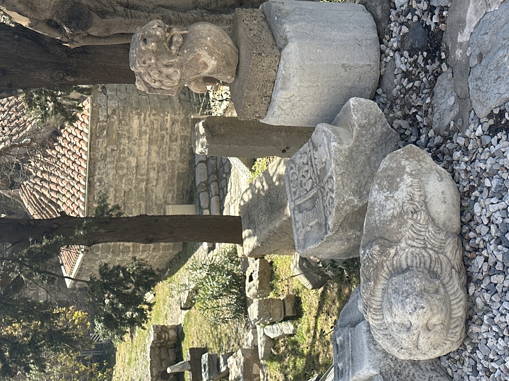 Tourist explores Bodrum Castle ruins and wildlife in Turkey