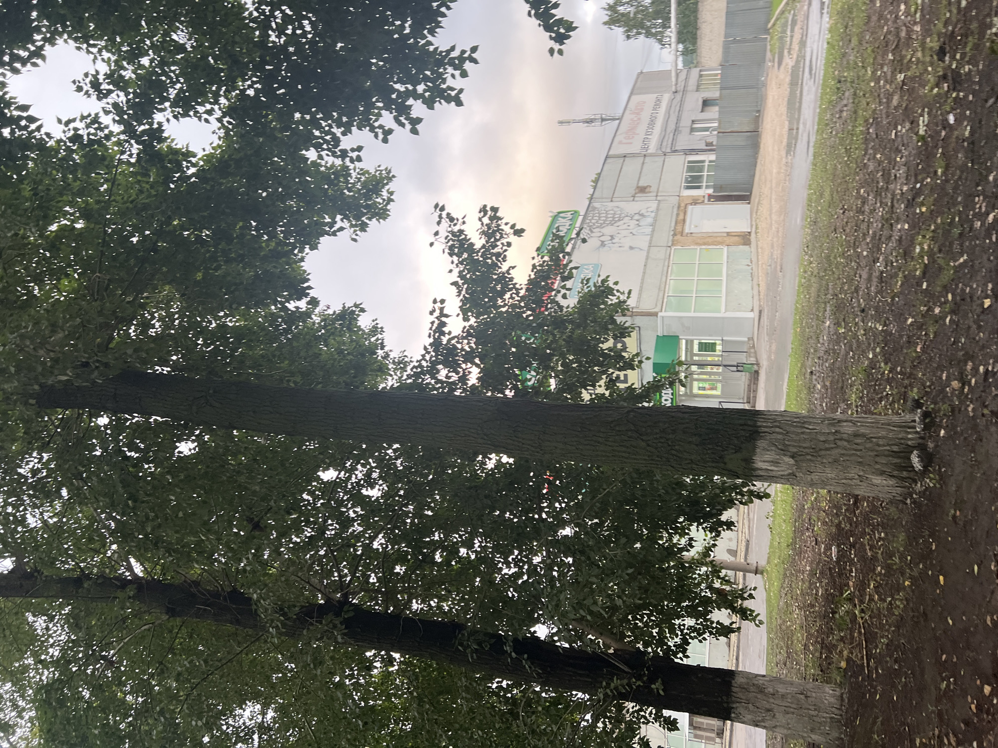 Post-storm street scenes across a wet Ulyanovsk neighborhood