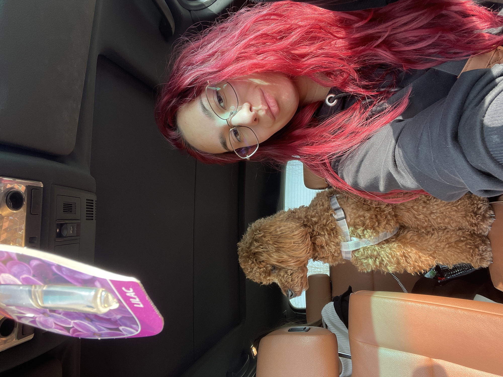 Woman, poodle, and tortoise spotted in Muselievo, Bulgaria