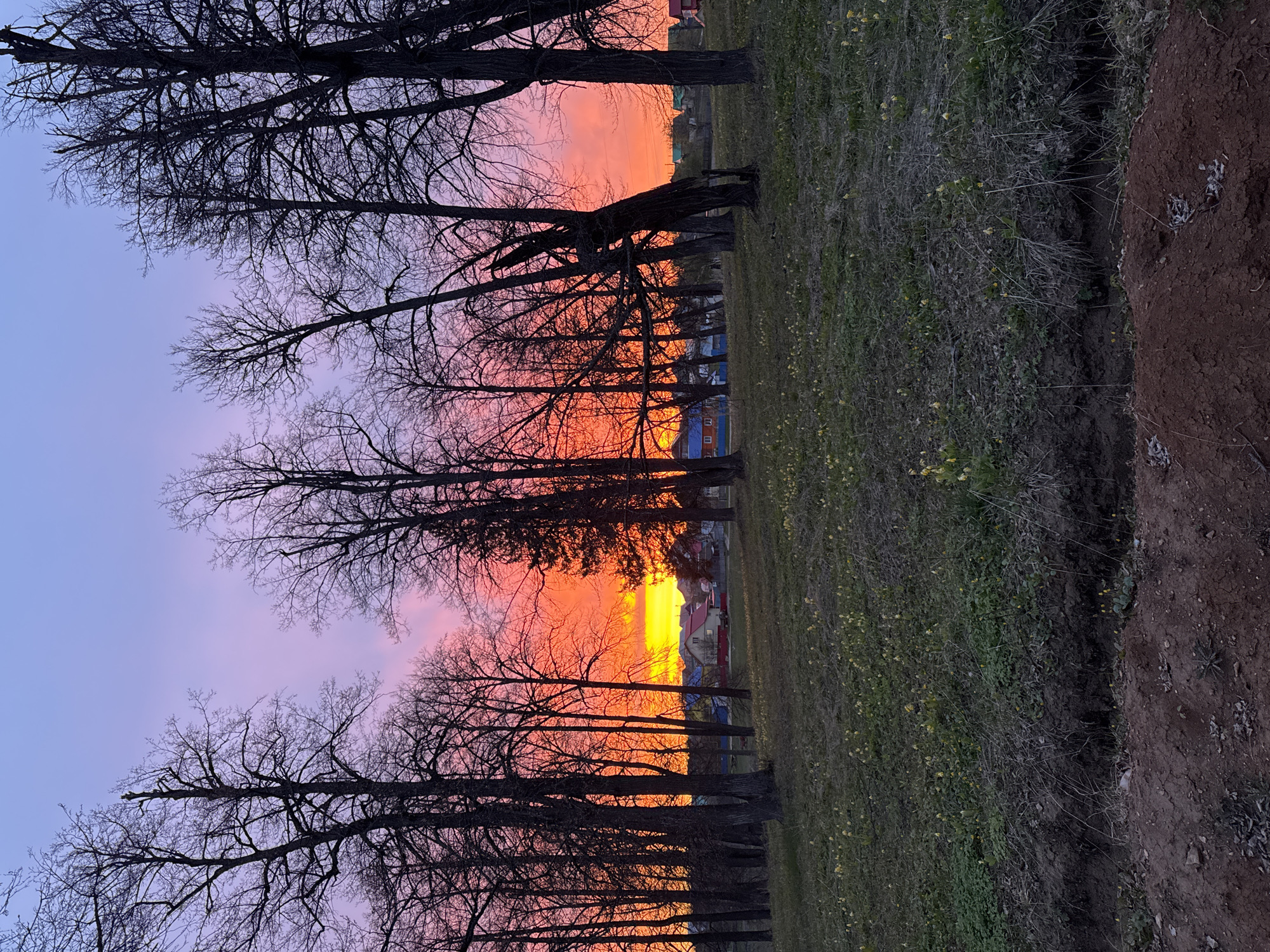 Evening grilling session captured during sunset in Pavlovka, Russia