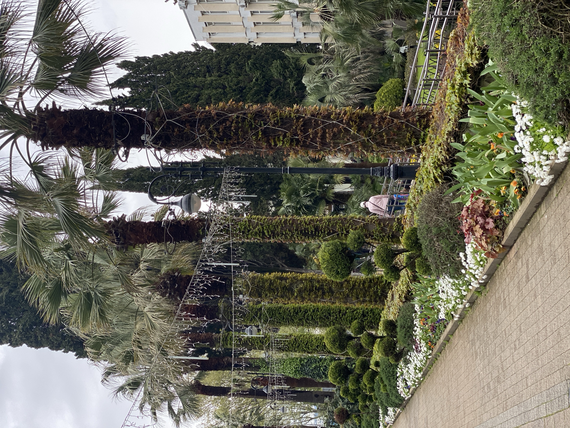 Skateboarder sings through palm-lined Sochi park on overcast morning