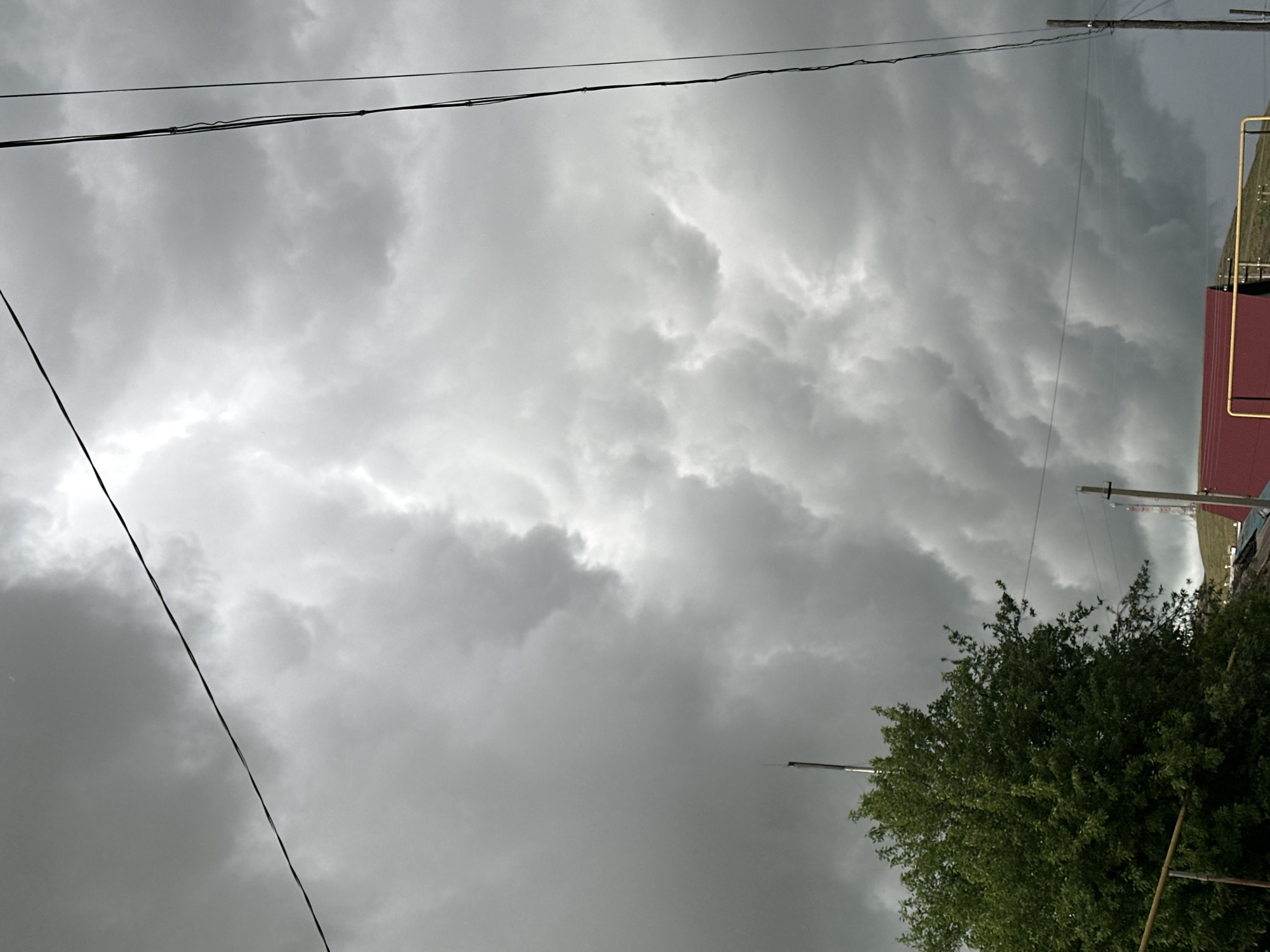 Storm clouds gather over grazing cattle in rural area