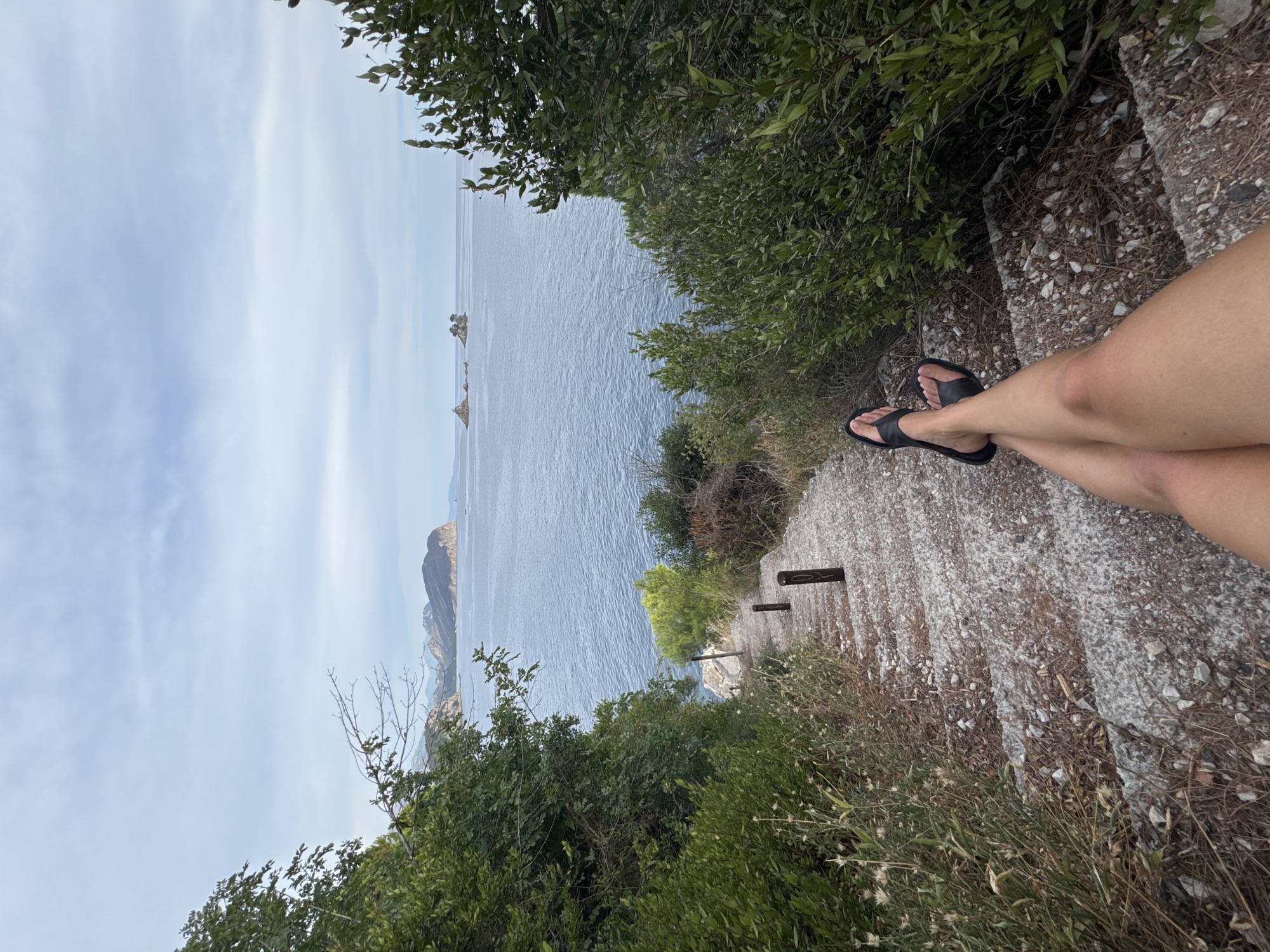 Coastal wandering through pine forests and sea views in Montenegro