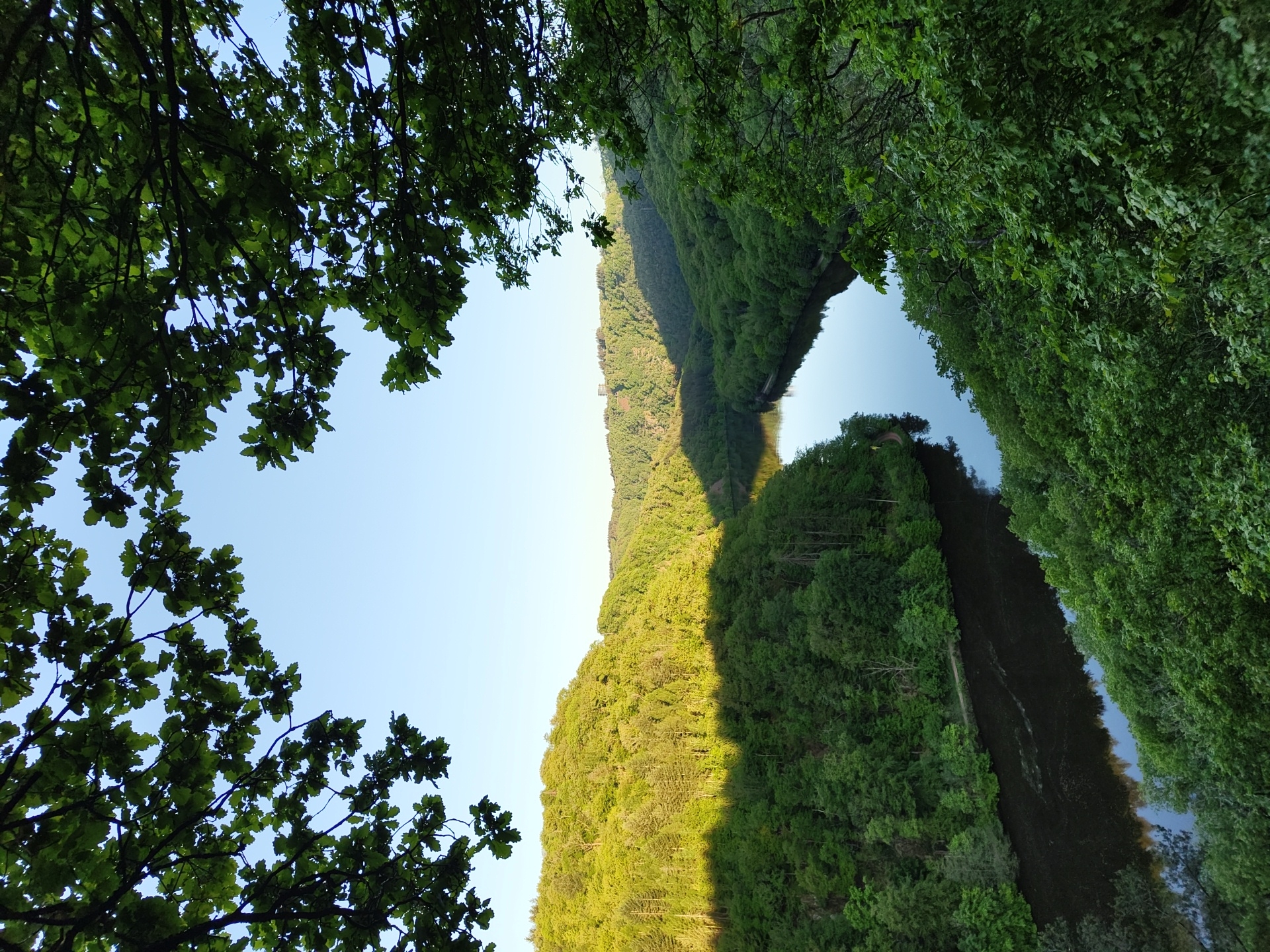 Dawn photography captures Saarschleife vista and forest trail in Mettlach