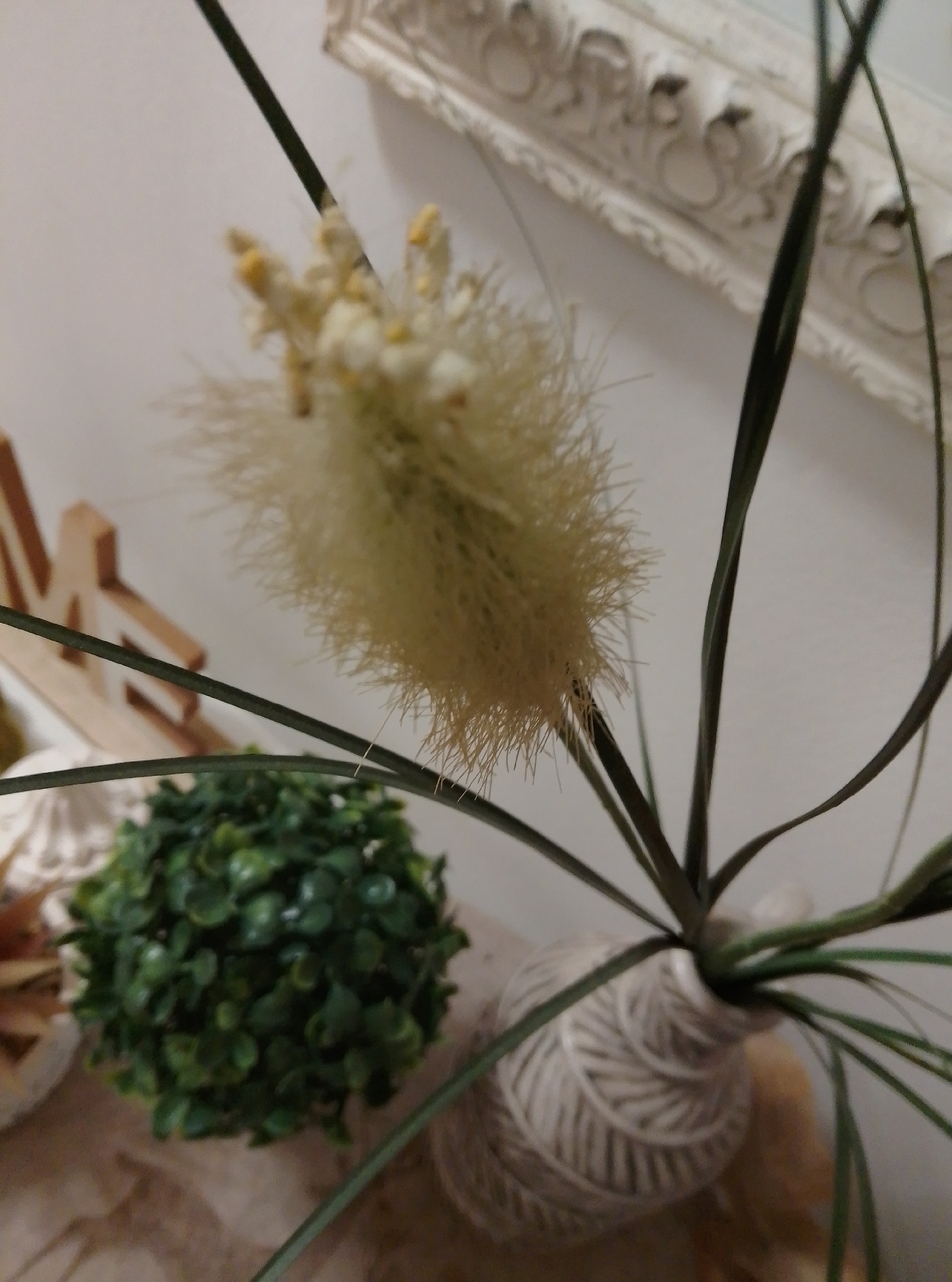 Coastal trinkets and shell decorations browsed in Wedel