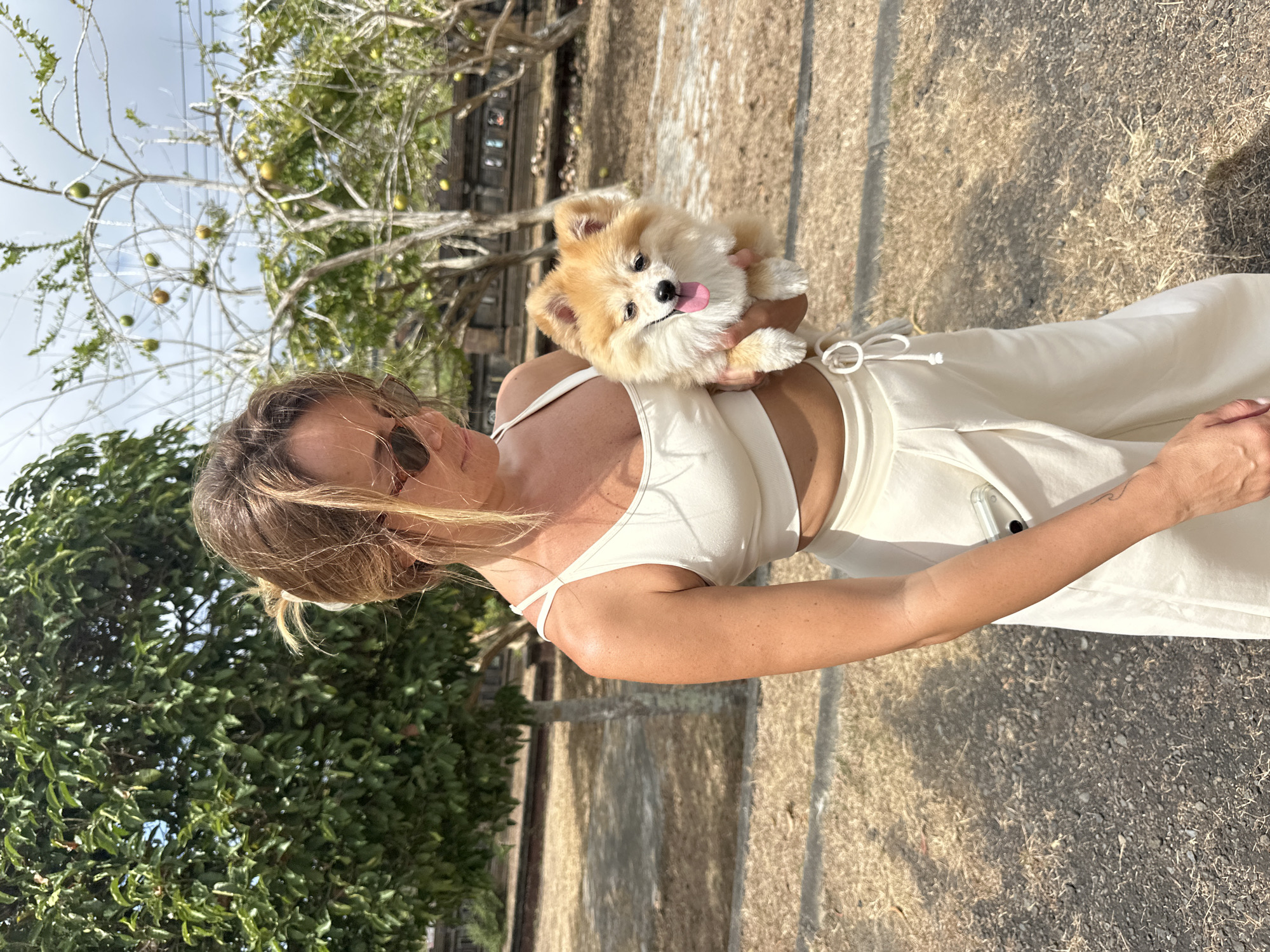 Fluffy Pomeranian steals the show in Kuta Selatan
