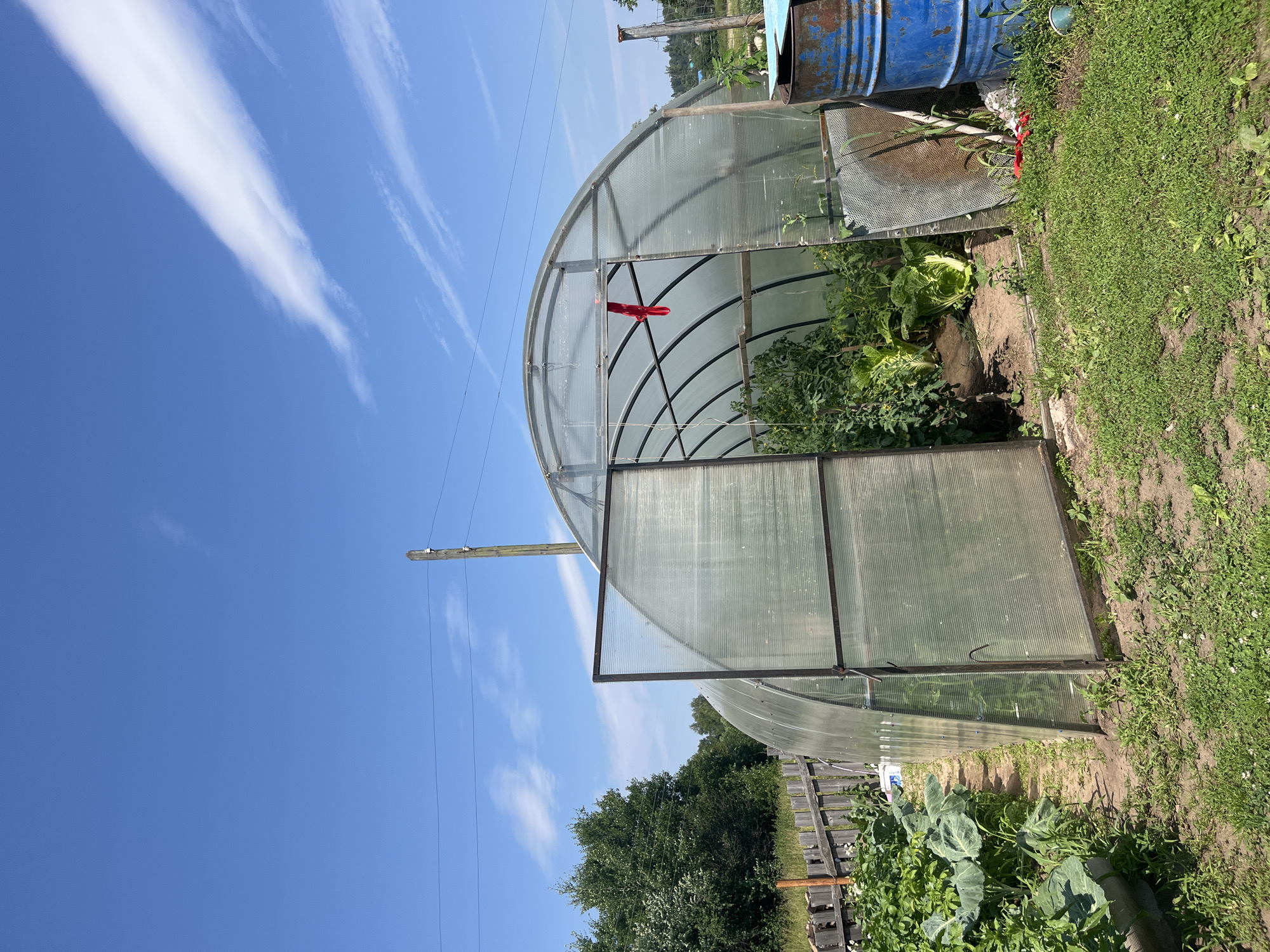 Rain falls on a backyard garden with a small greenhouse