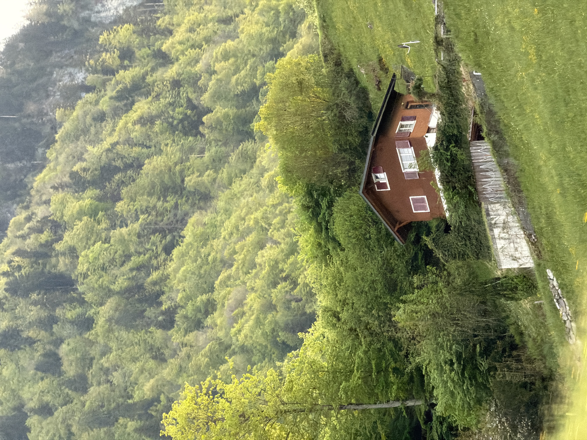 Tranquil Swiss countryside scene documented in Beckenried