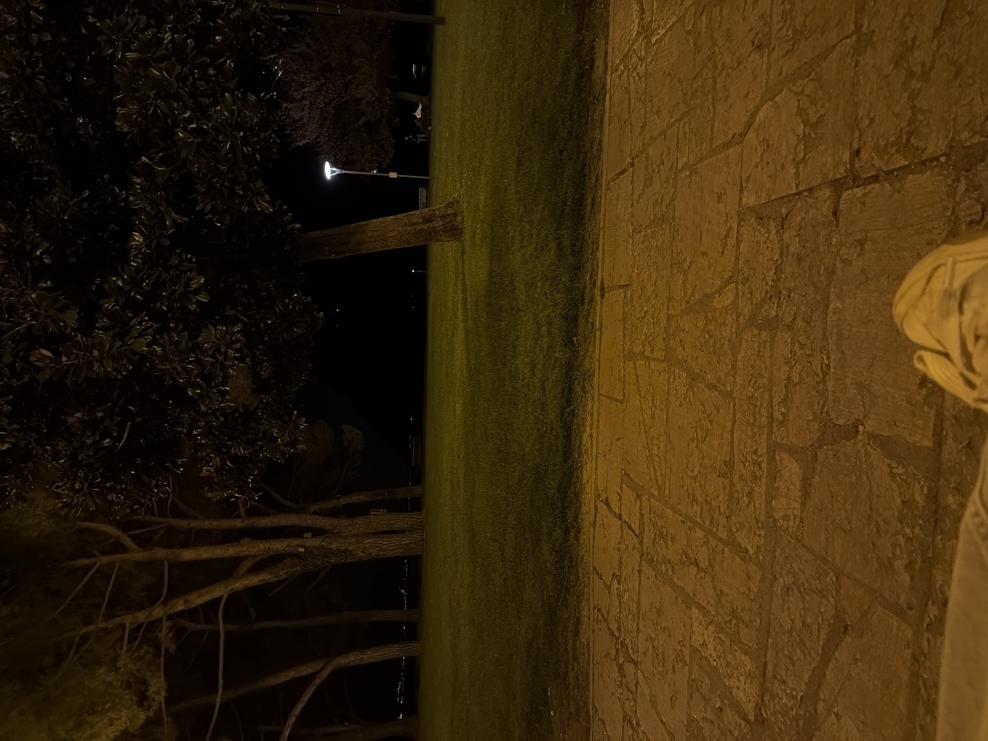 Person photographed on nighttime pathway in Riva del Garda