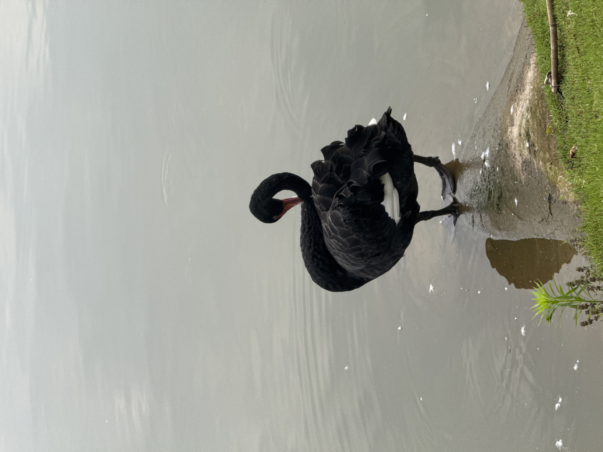 Everyday life at a Jiangjin park on a rainy morning
