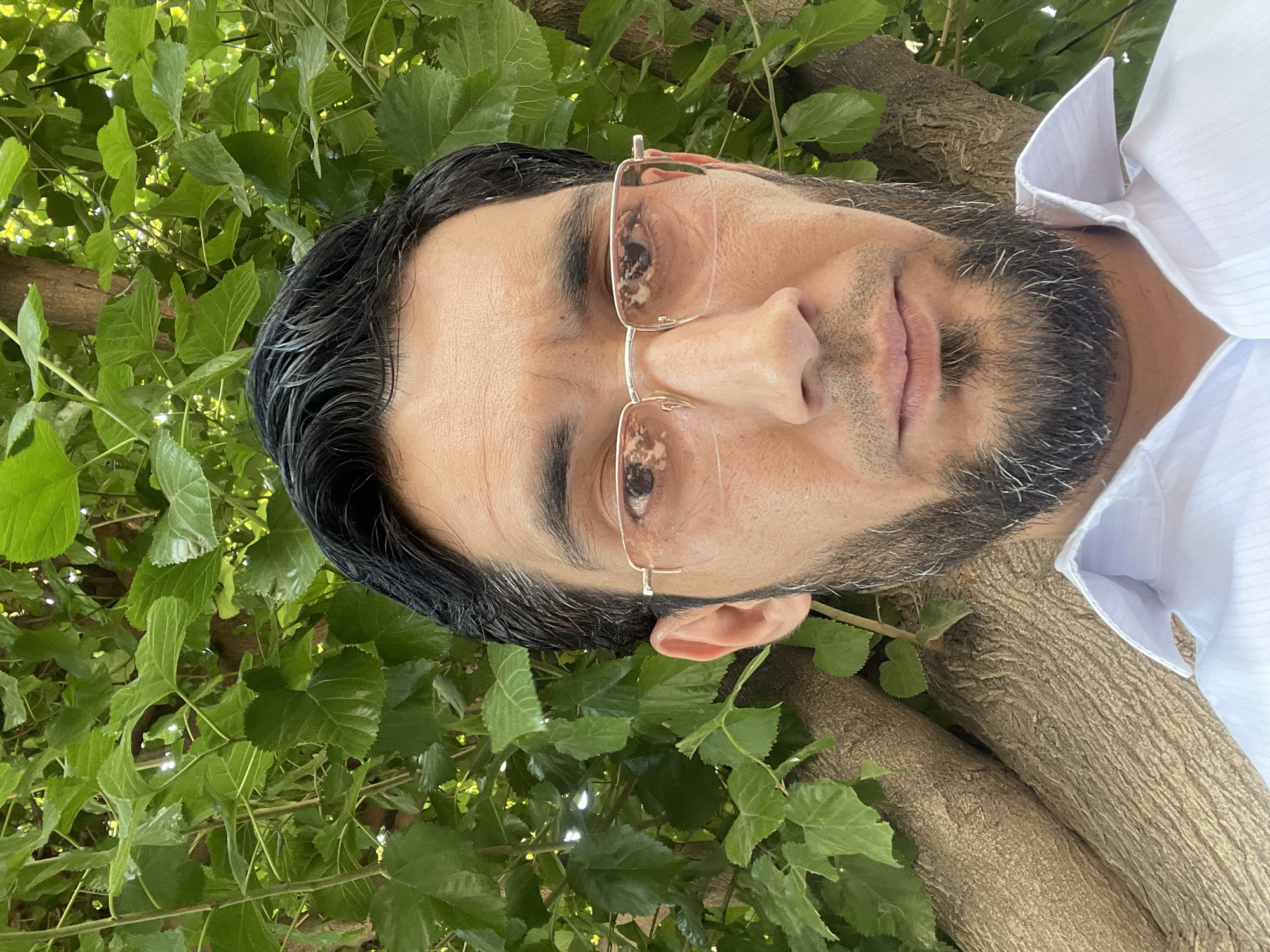Casual portraits by a tree in Tashkent, summer morning