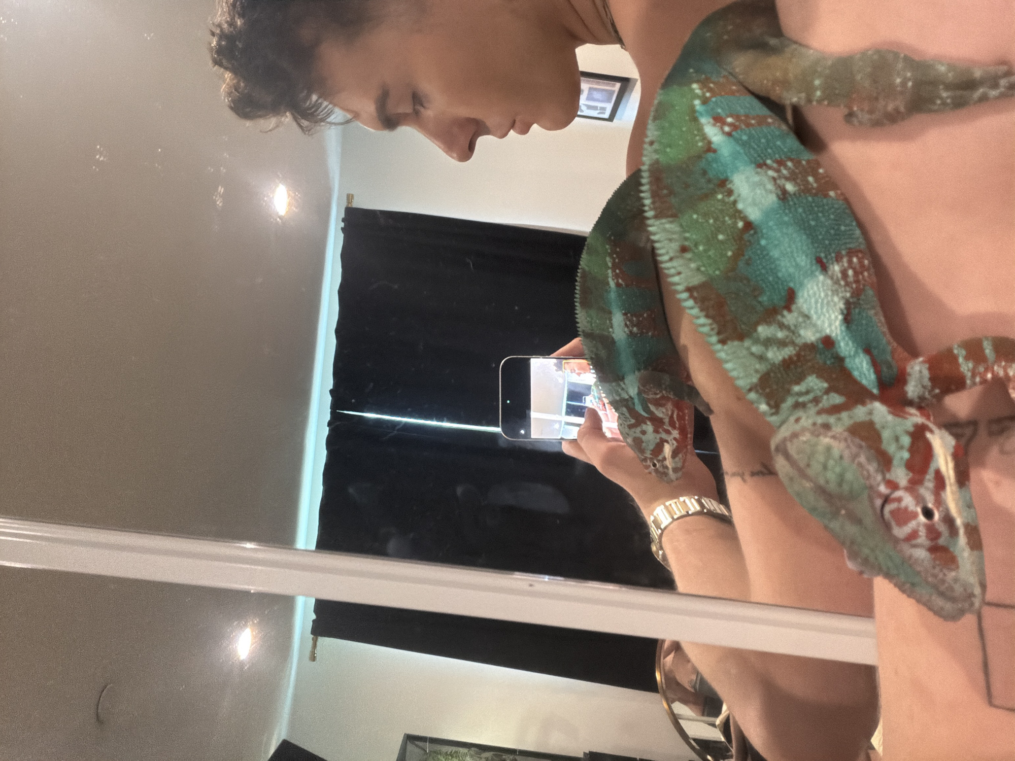 Person poses with chameleon in Los Angeles mirror selfie