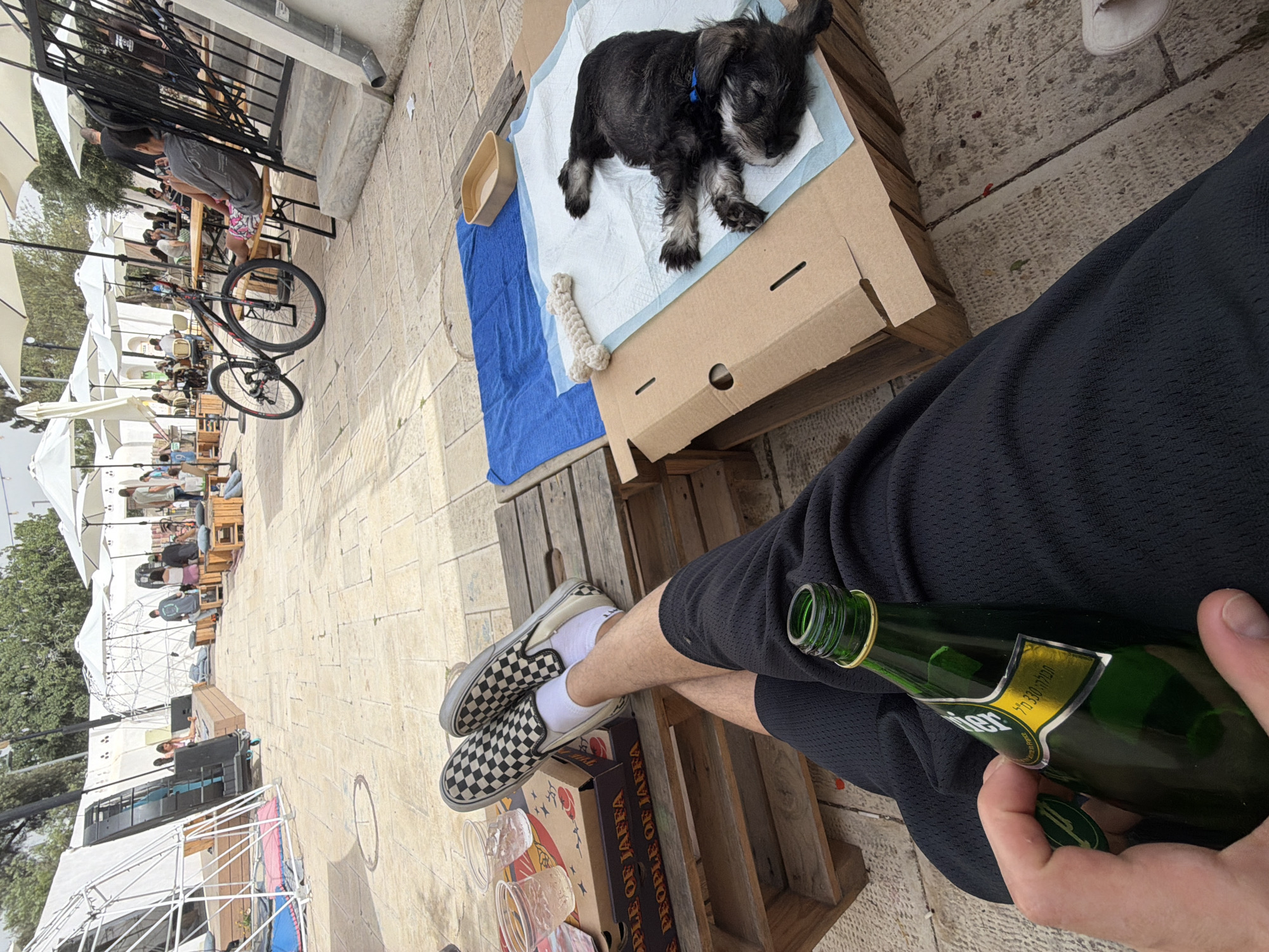 Casual outdoor moment captured in Tel Aviv afternoon