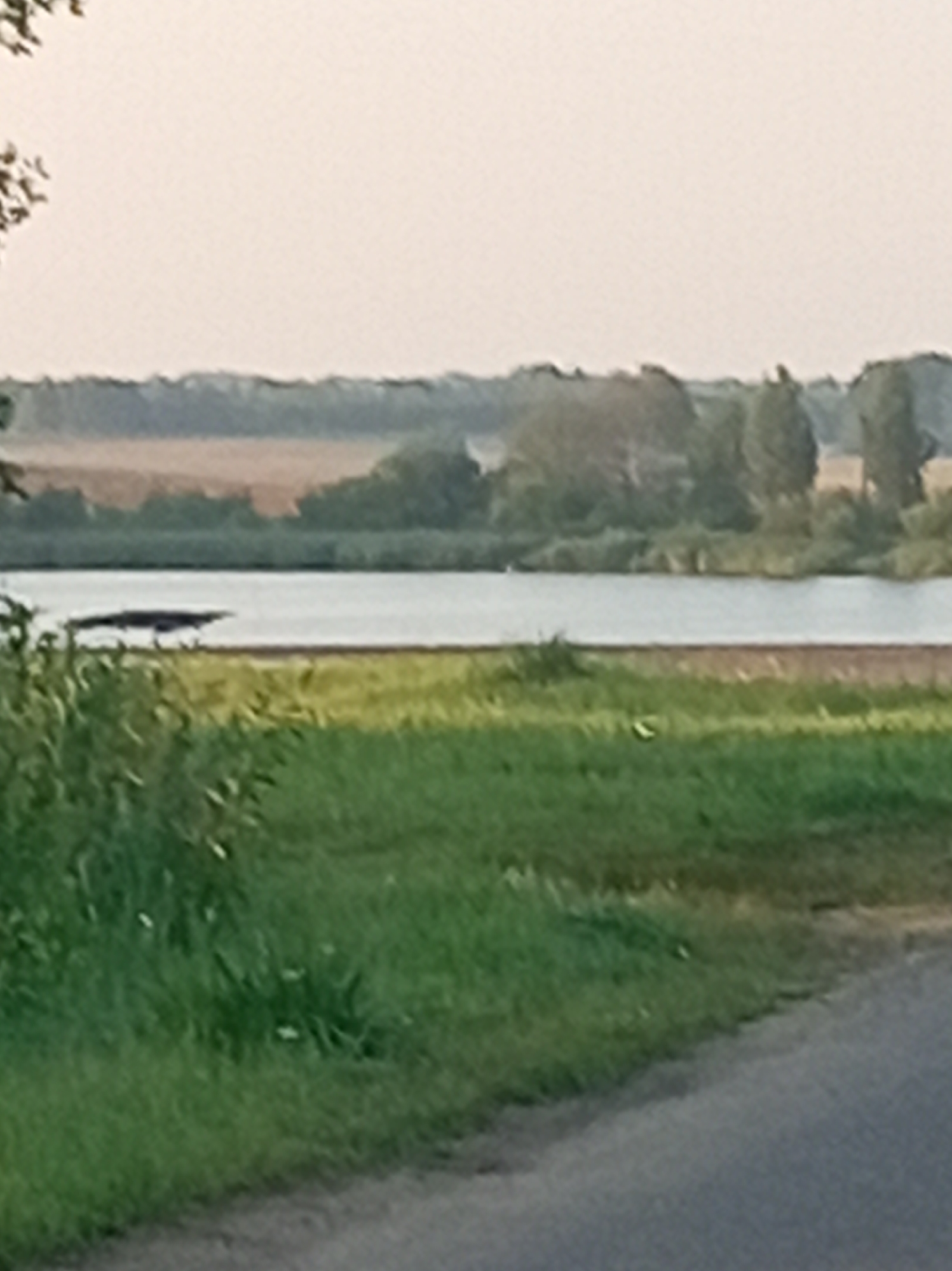 Quiet roads, water, and open land around Shumilina, Belarus
