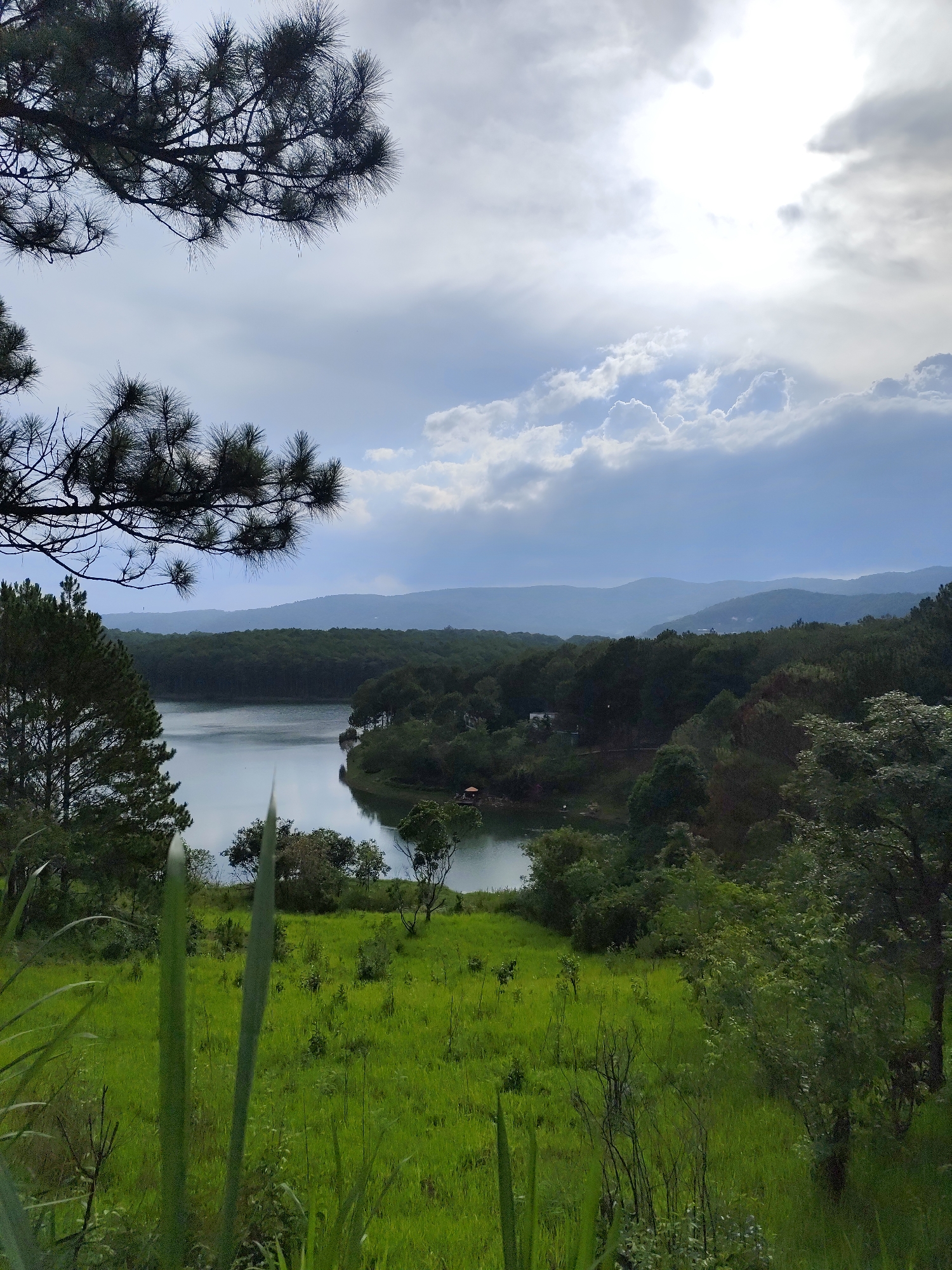 Tourist captures scenic Da Lat landscapes during morning documentation