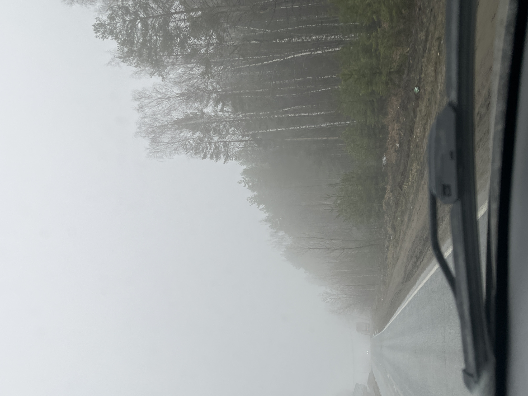 Dense fog reduces visibility on Russian road