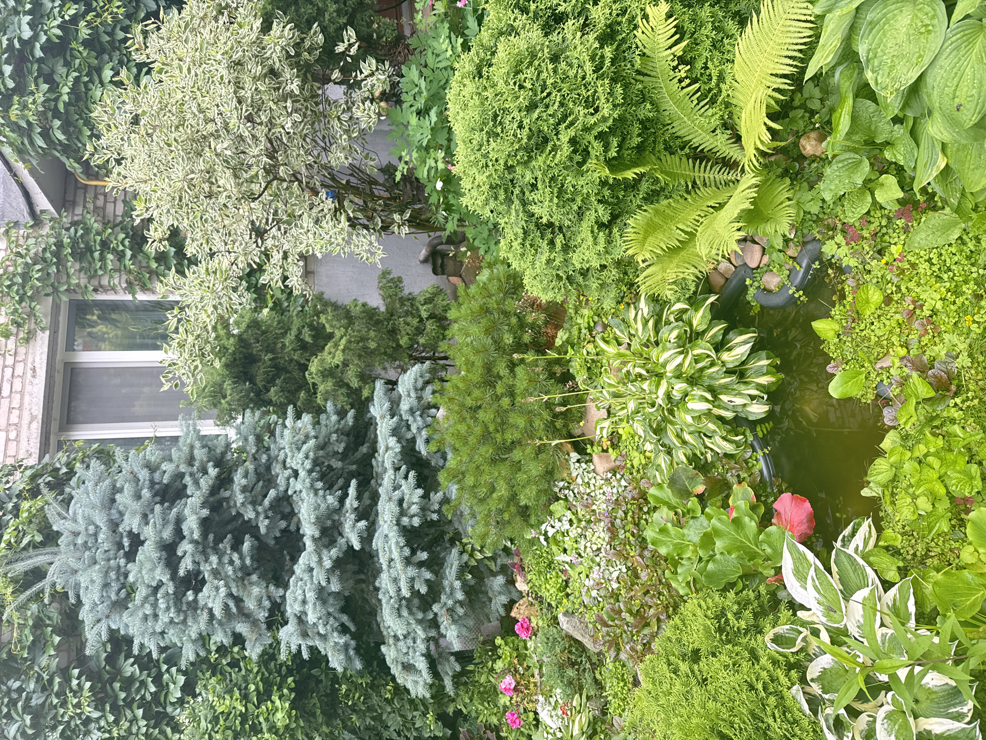 Morning snapshots from a residential neighborhood in Chaikovsky