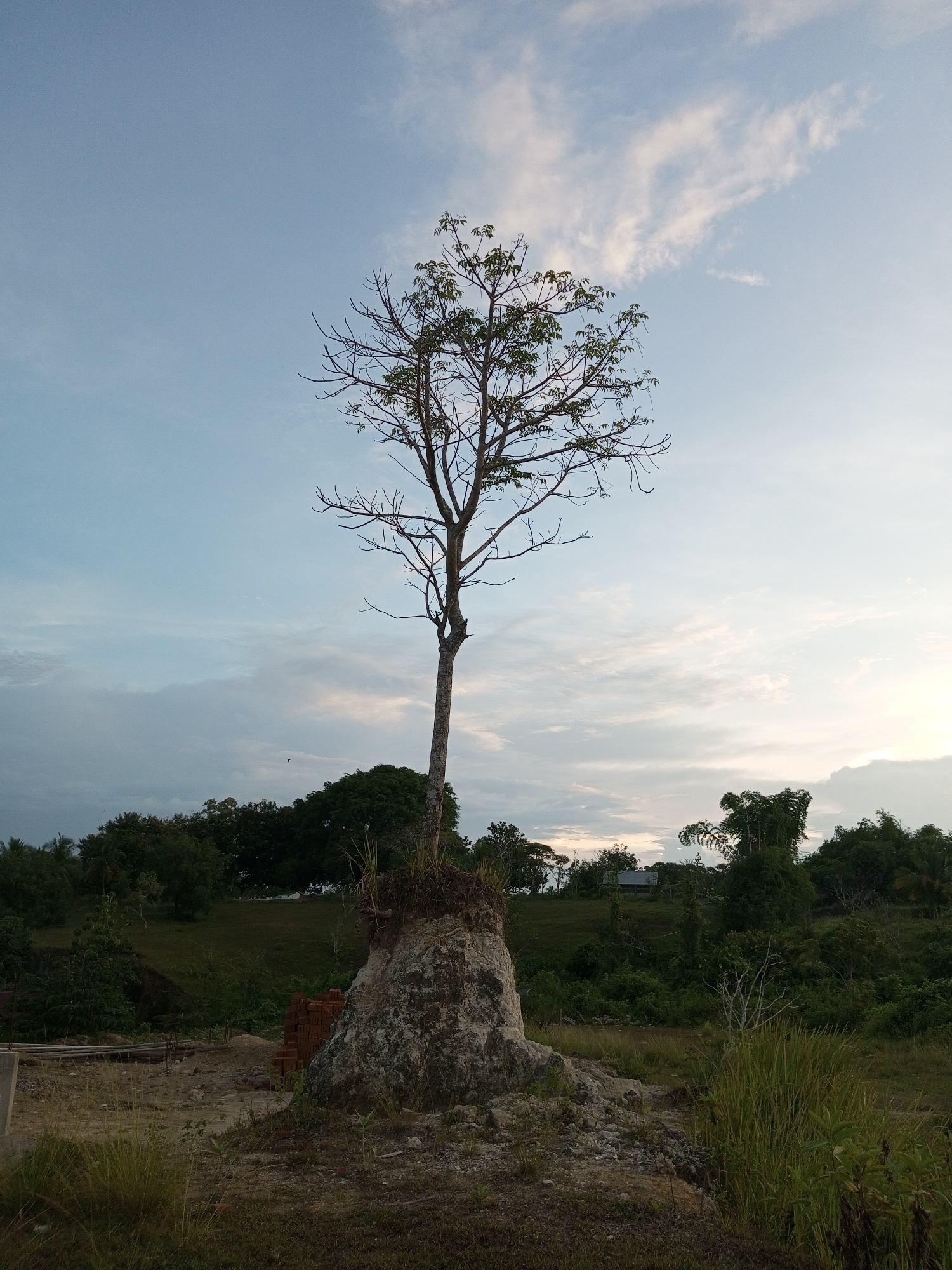 Daily life scenes documented in Lhokseumawe, Indonesia