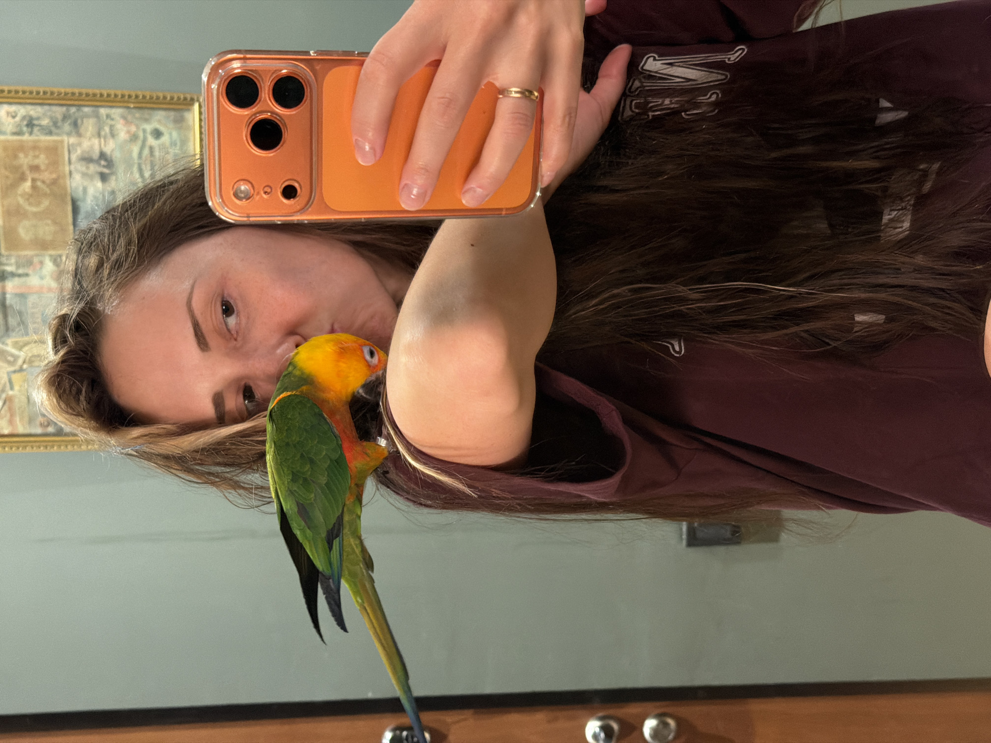 Person photographs and handles colorful parrot in Khimki