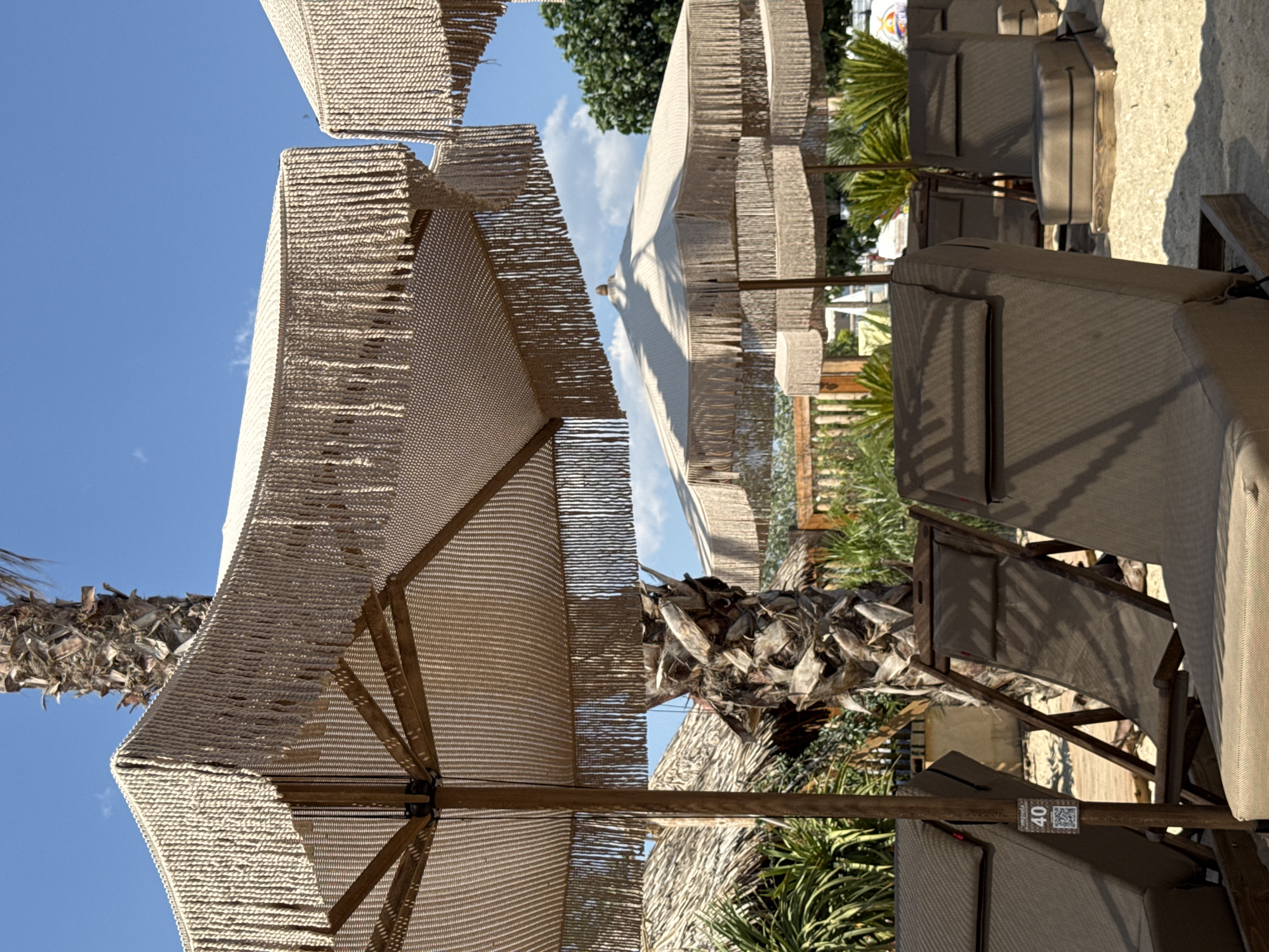 Midday at a tropical beach club, palms and lounge chairs
