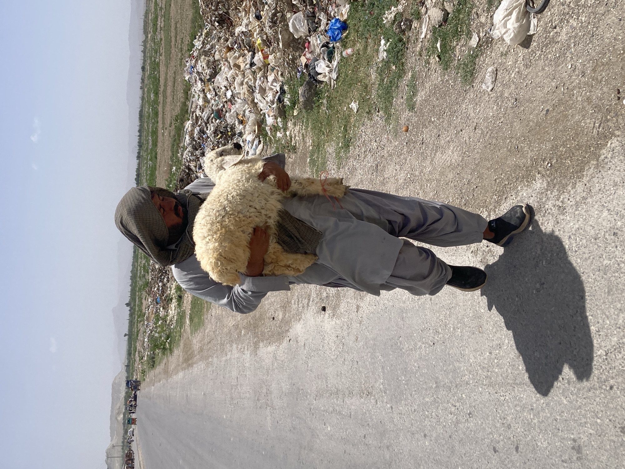 Morning life documented in Loralai: vendors, livestock, vehicle repair