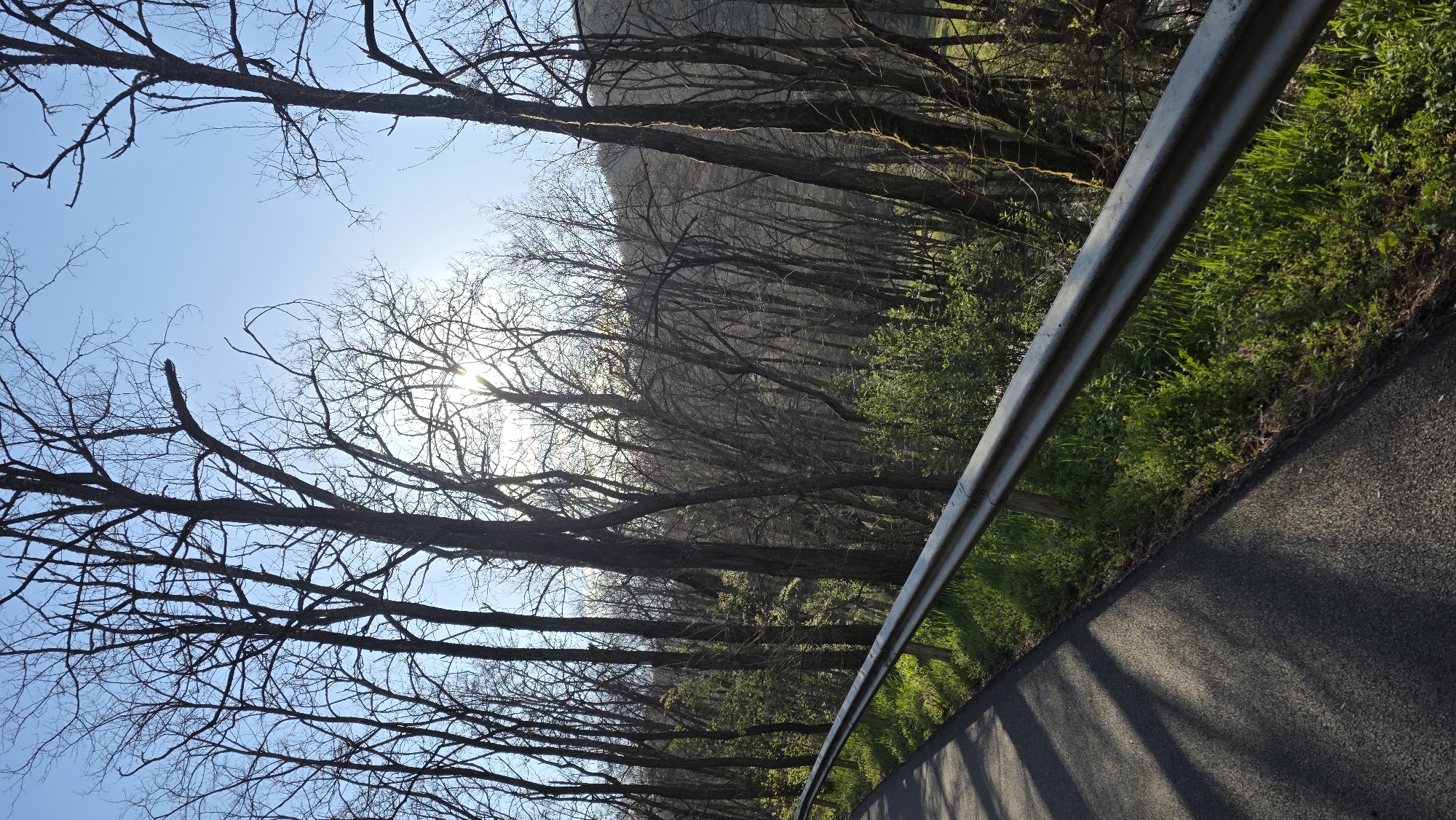 Morning drive through wooded area near Blagoevgrad documented