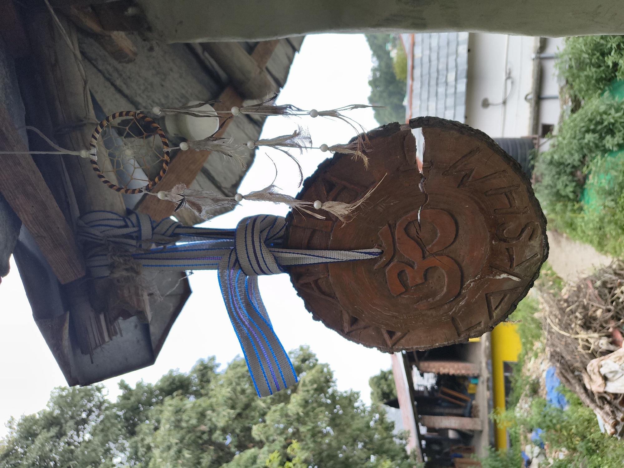 Morning scenes of decorative items, animals documented in Haini, India